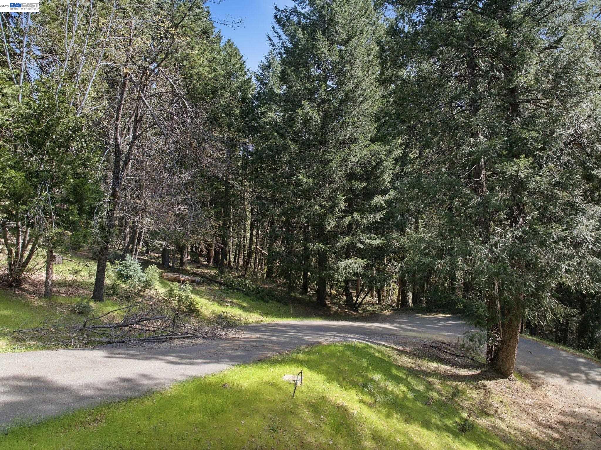 Detail Gallery Image 7 of 22 For 5890 Starkes Grade Rd, Pollock Pines,  CA 95726 - – Beds | – Baths