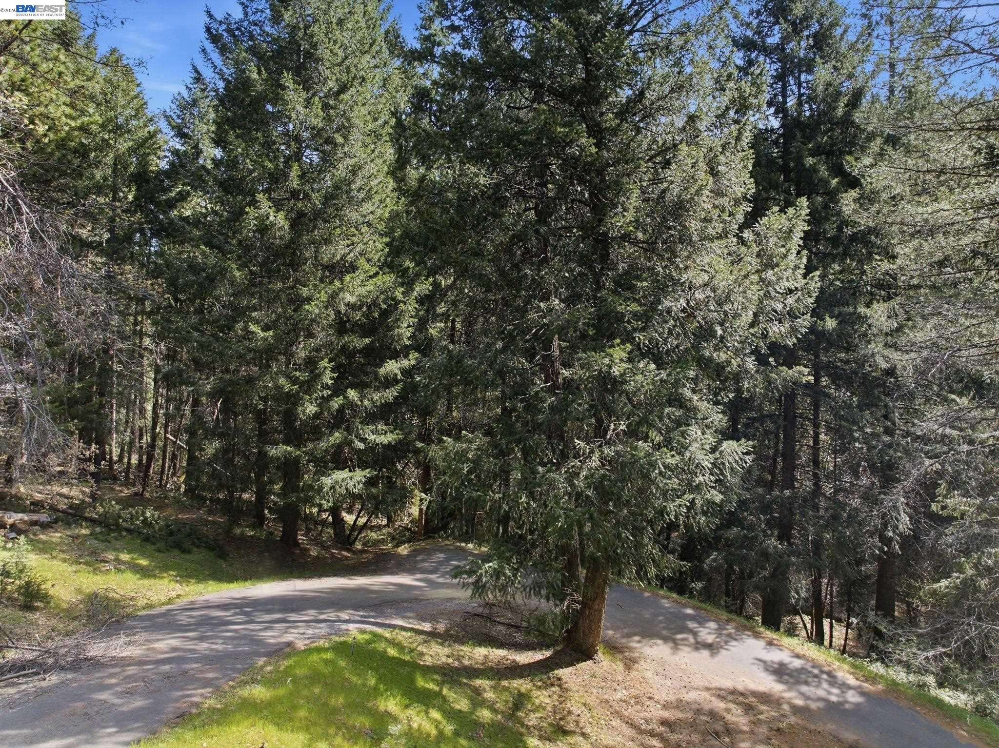 Detail Gallery Image 8 of 22 For 5890 Starkes Grade Rd, Pollock Pines,  CA 95726 - – Beds | – Baths