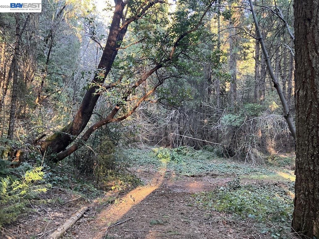 Detail Gallery Image 10 of 22 For 5890 Starkes Grade Rd, Pollock Pines,  CA 95726 - – Beds | – Baths