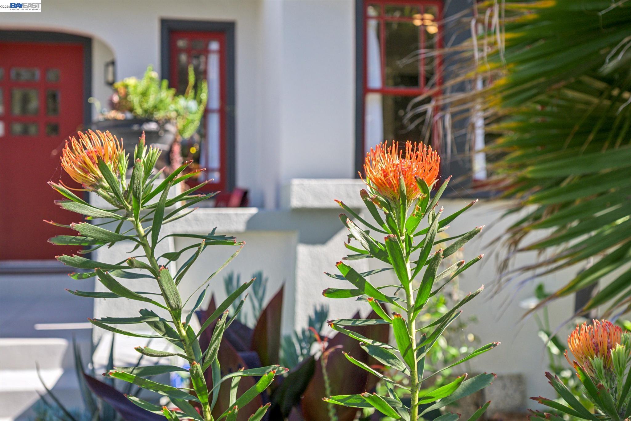 Detail Gallery Image 26 of 33 For 1376 Versailles Ave, Alameda,  CA 94501 - 2 Beds | 2 Baths