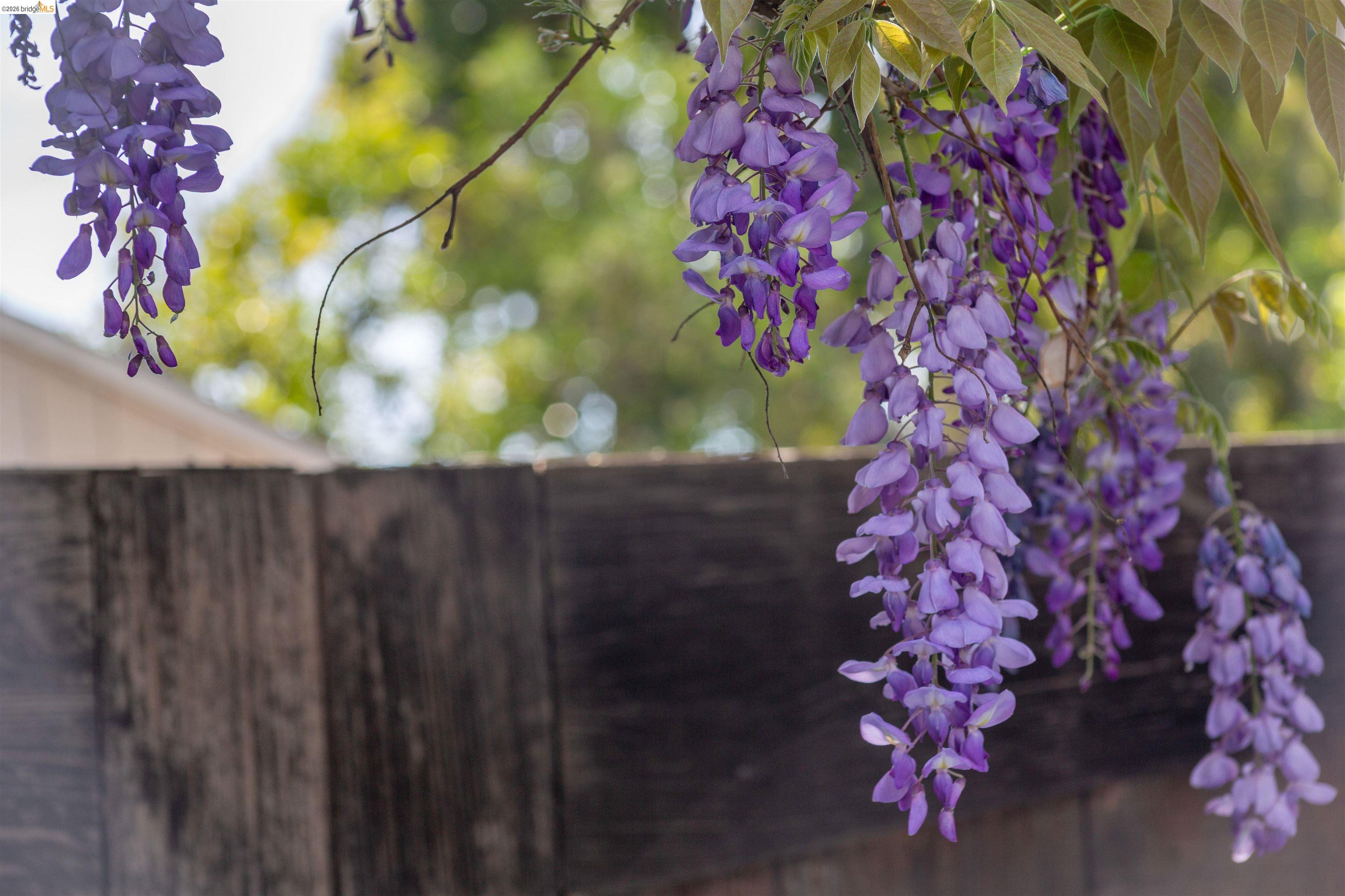 Detail Gallery Image 51 of 52 For 33 Ramona Ave, Oakland,  CA 94611 - 3 Beds | 2 Baths