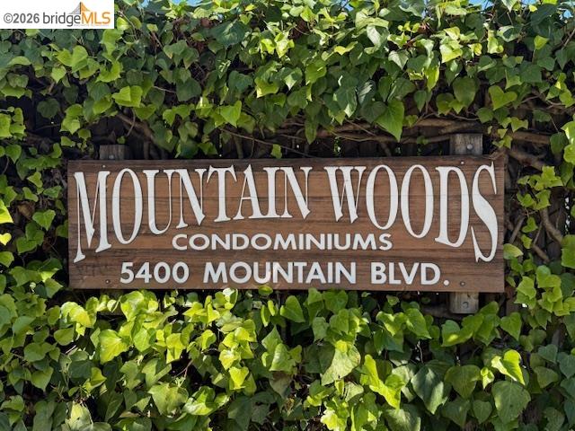 Photo #18: 41128761 Listing: Photo #18