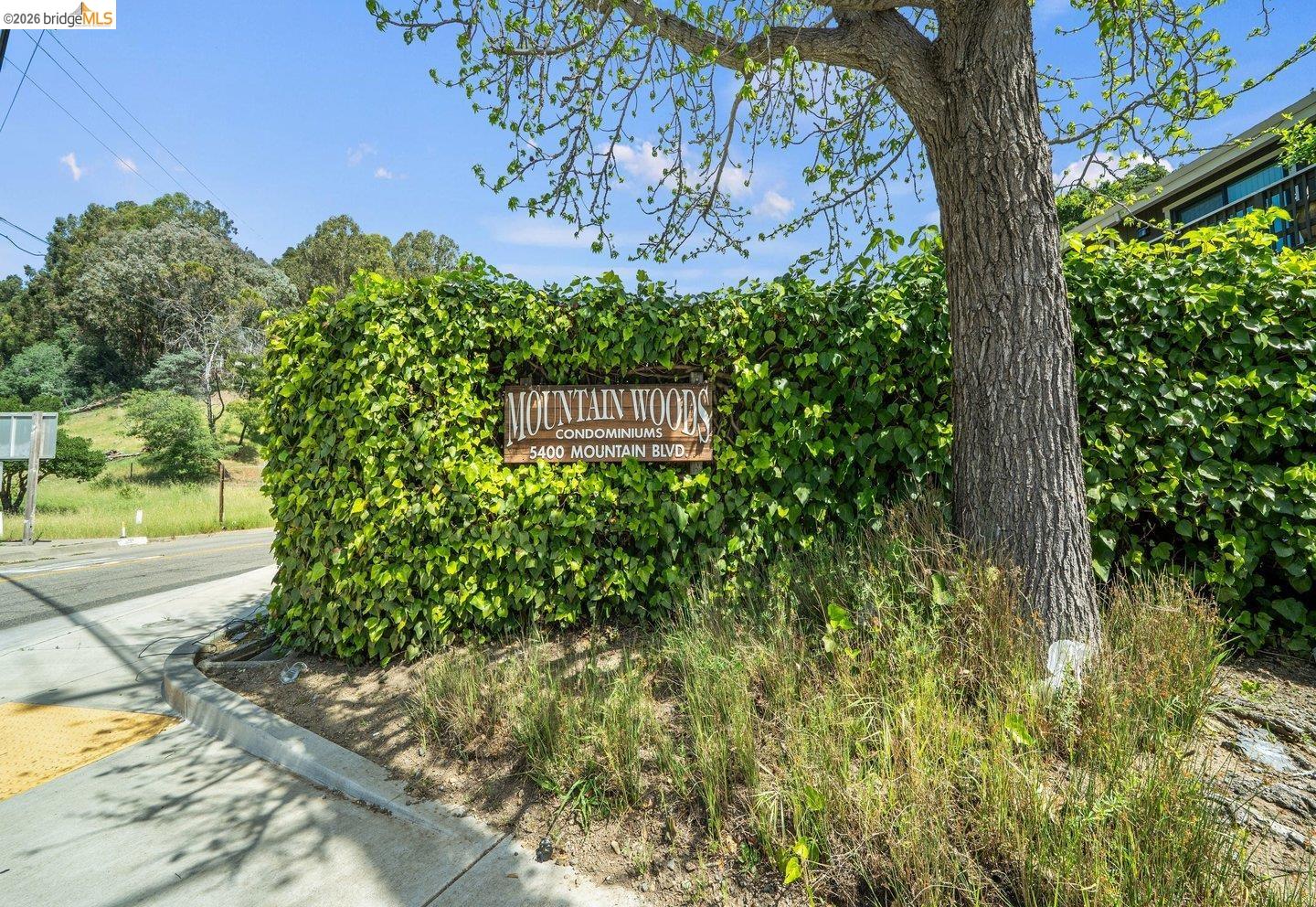 Photo #32: 41128761 Listing: Photo #32