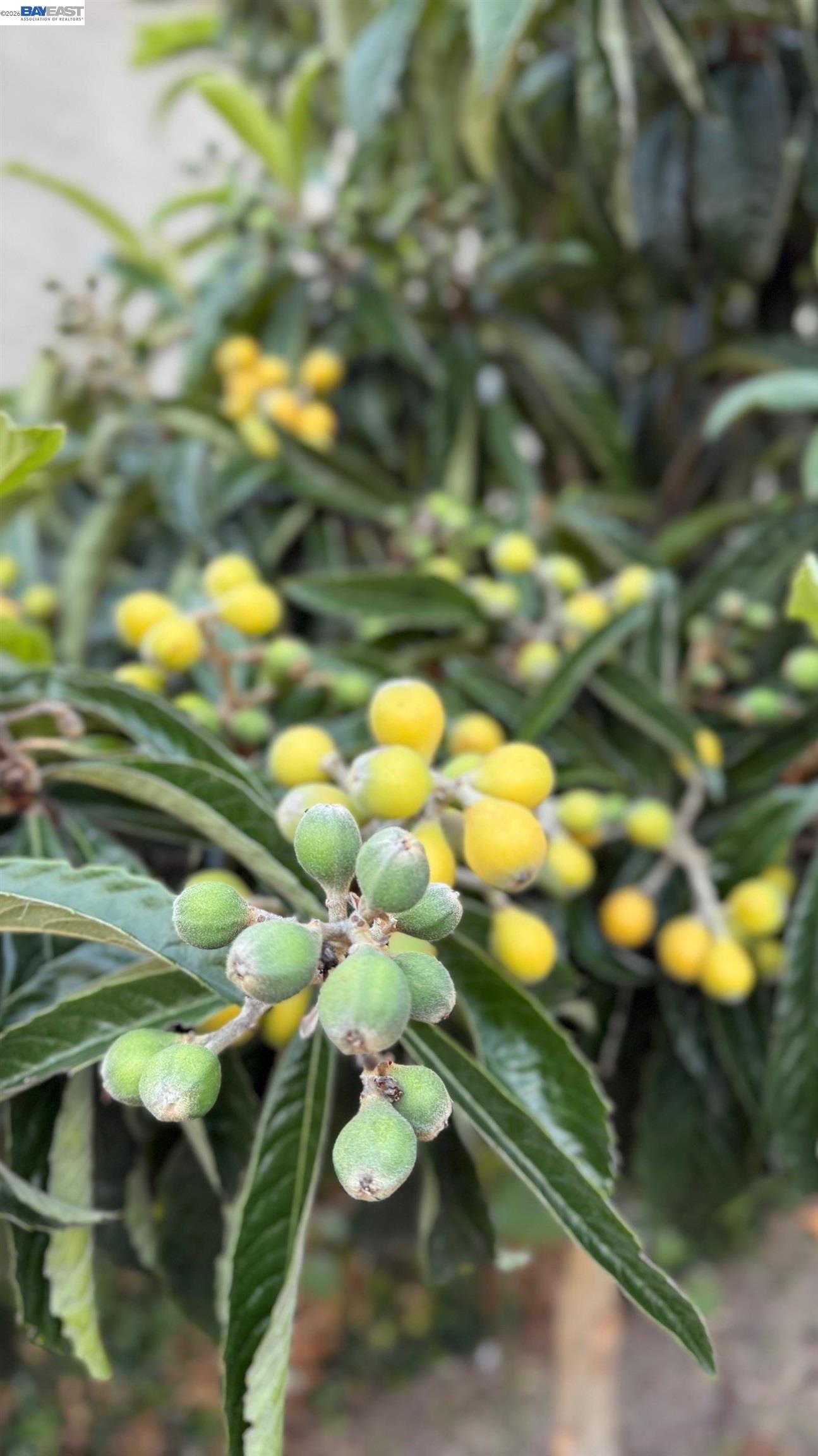 Detail Gallery Image 38 of 40 For 2295 Regatta Way, San Leandro,  CA 94579 - 4 Beds | 2/1 Baths