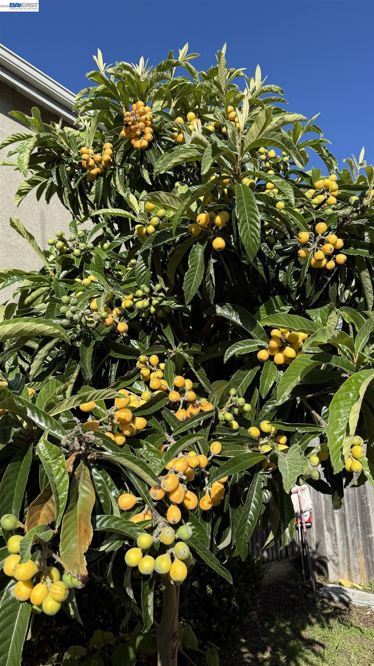 Detail Gallery Image 41 of 41 For 2295 Regatta Way, San Leandro,  CA 94579 - 4 Beds | 2/1 Baths