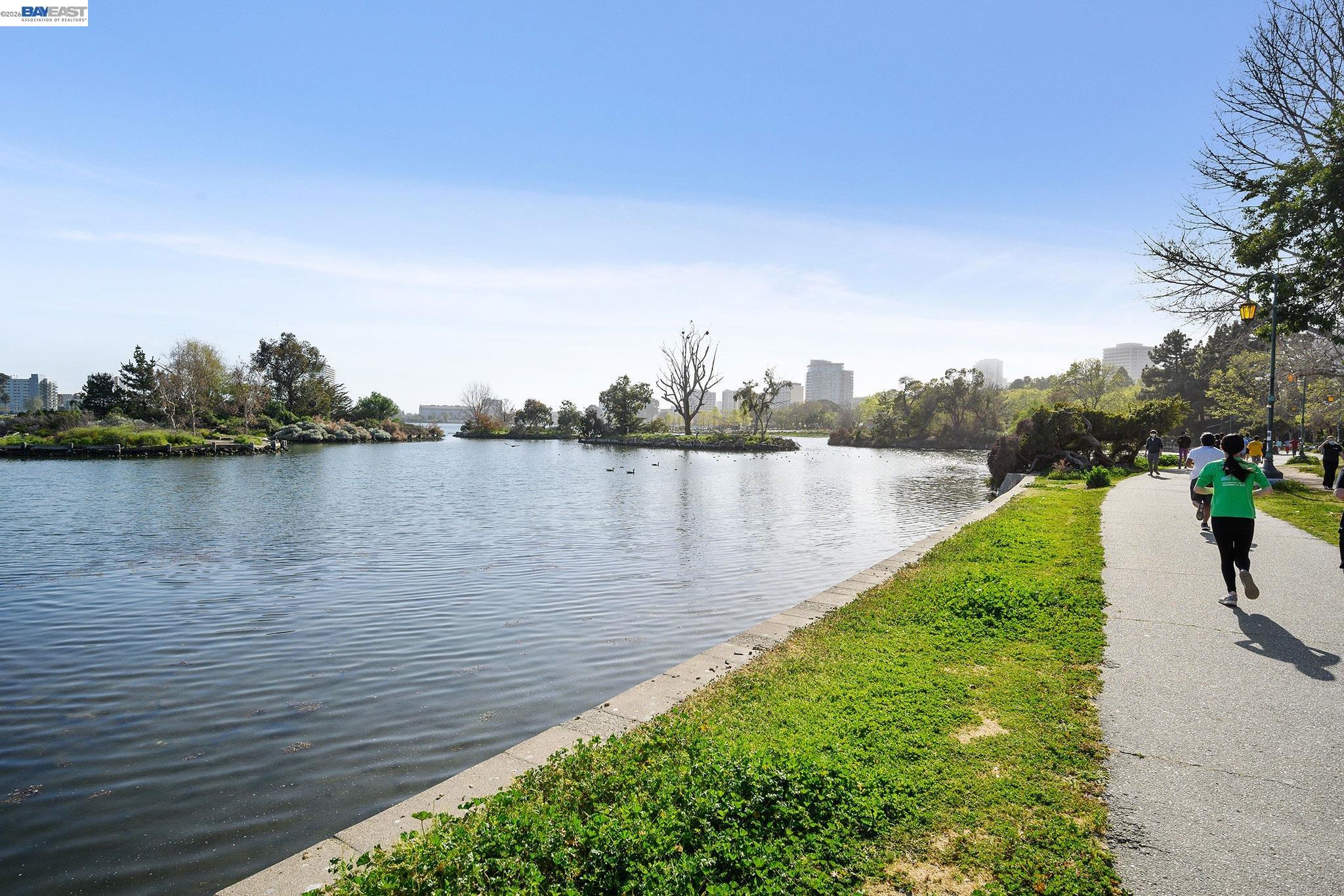 Photo #31: 41128769 Listing: Photo #31