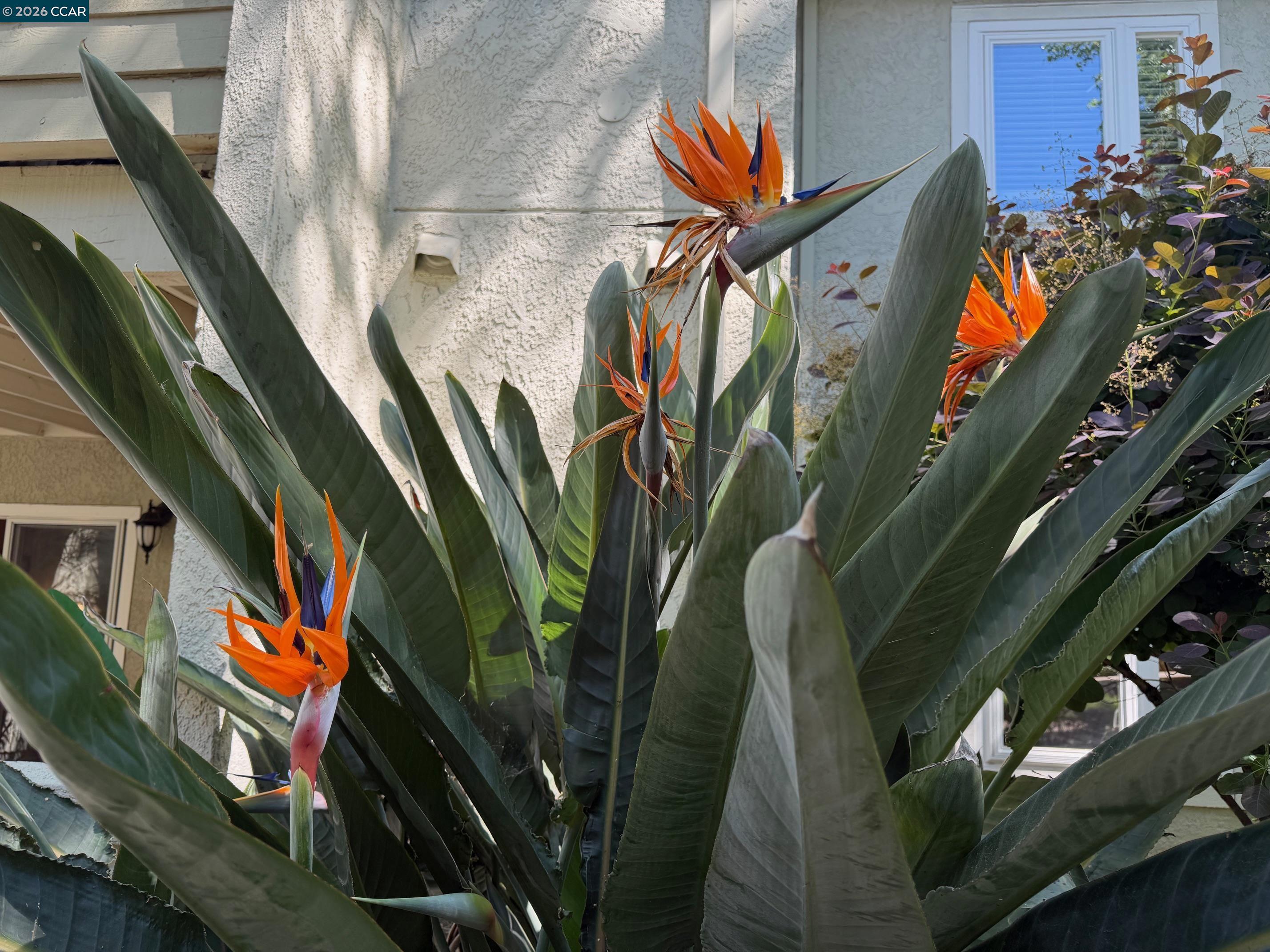 Photo #48: 41128784 Listing: Photo #48