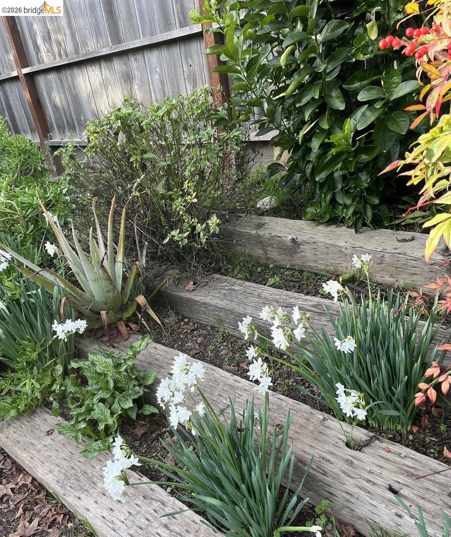 Detail Gallery Image 16 of 30 For 1672 San Vicente Ave, Napa,  CA 94558 - 4 Beds | 2/1 Baths