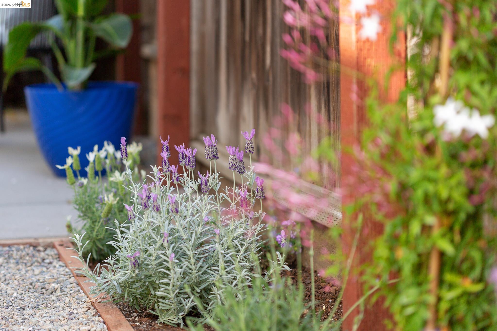 Detail Gallery Image 28 of 39 For 1200 El Centro Ave, Oakland,  CA 94602 - 2 Beds | 2 Baths