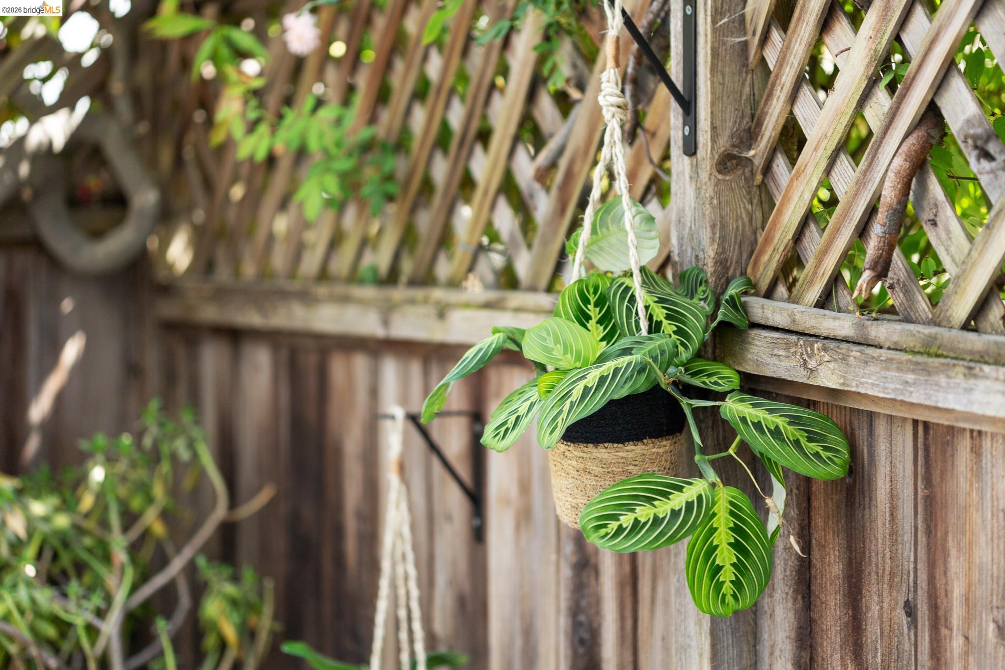 Detail Gallery Image 29 of 39 For 1200 El Centro Ave, Oakland,  CA 94602 - 2 Beds | 2 Baths