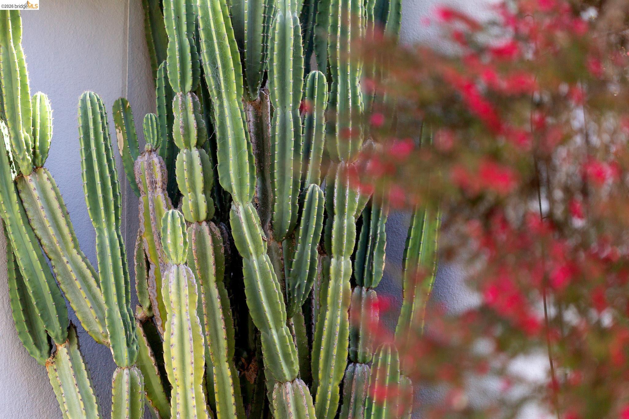 Detail Gallery Image 34 of 39 For 1200 El Centro Ave, Oakland,  CA 94602 - 2 Beds | 2 Baths