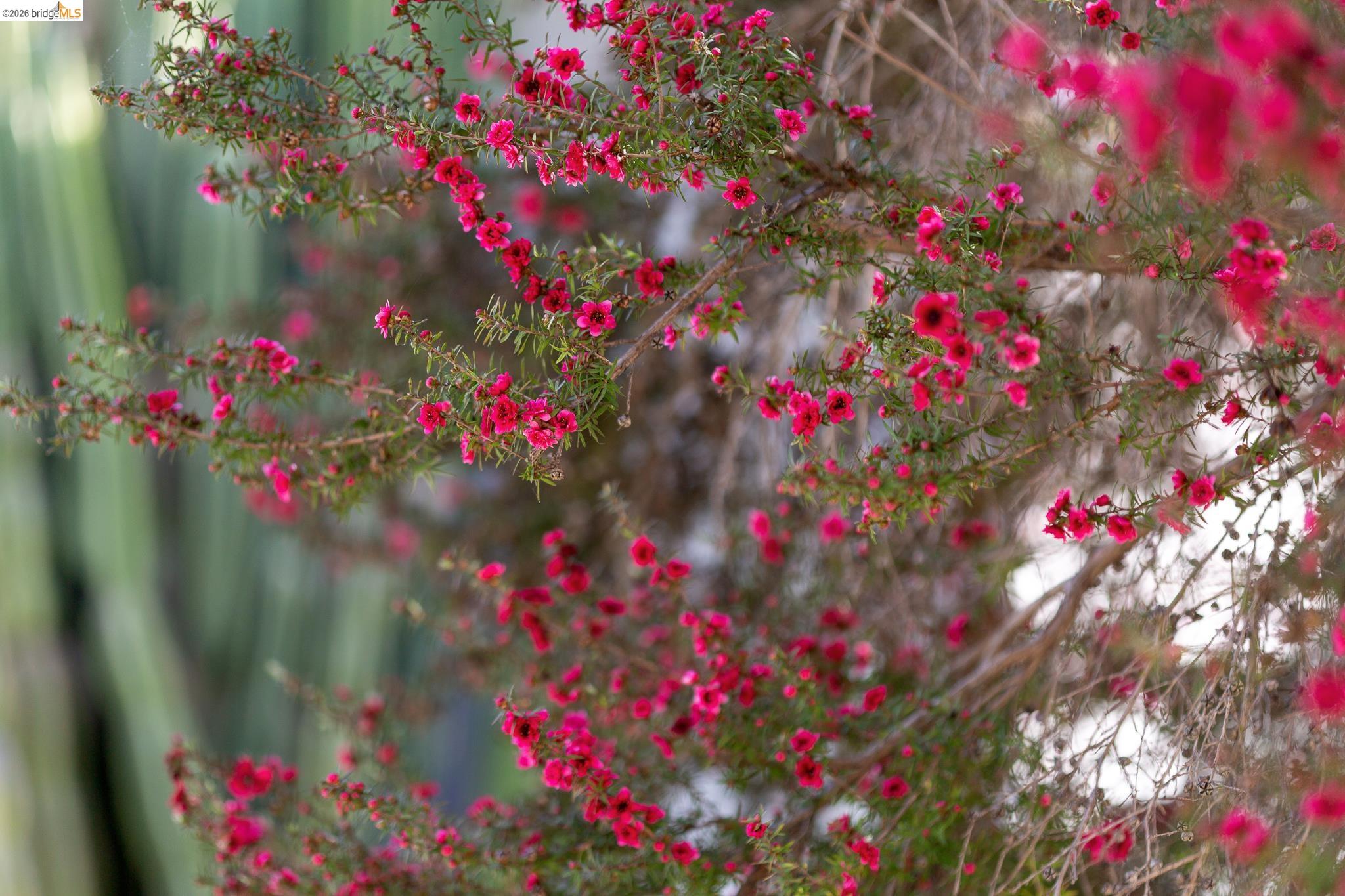 Detail Gallery Image 35 of 39 For 1200 El Centro Ave, Oakland,  CA 94602 - 2 Beds | 2 Baths