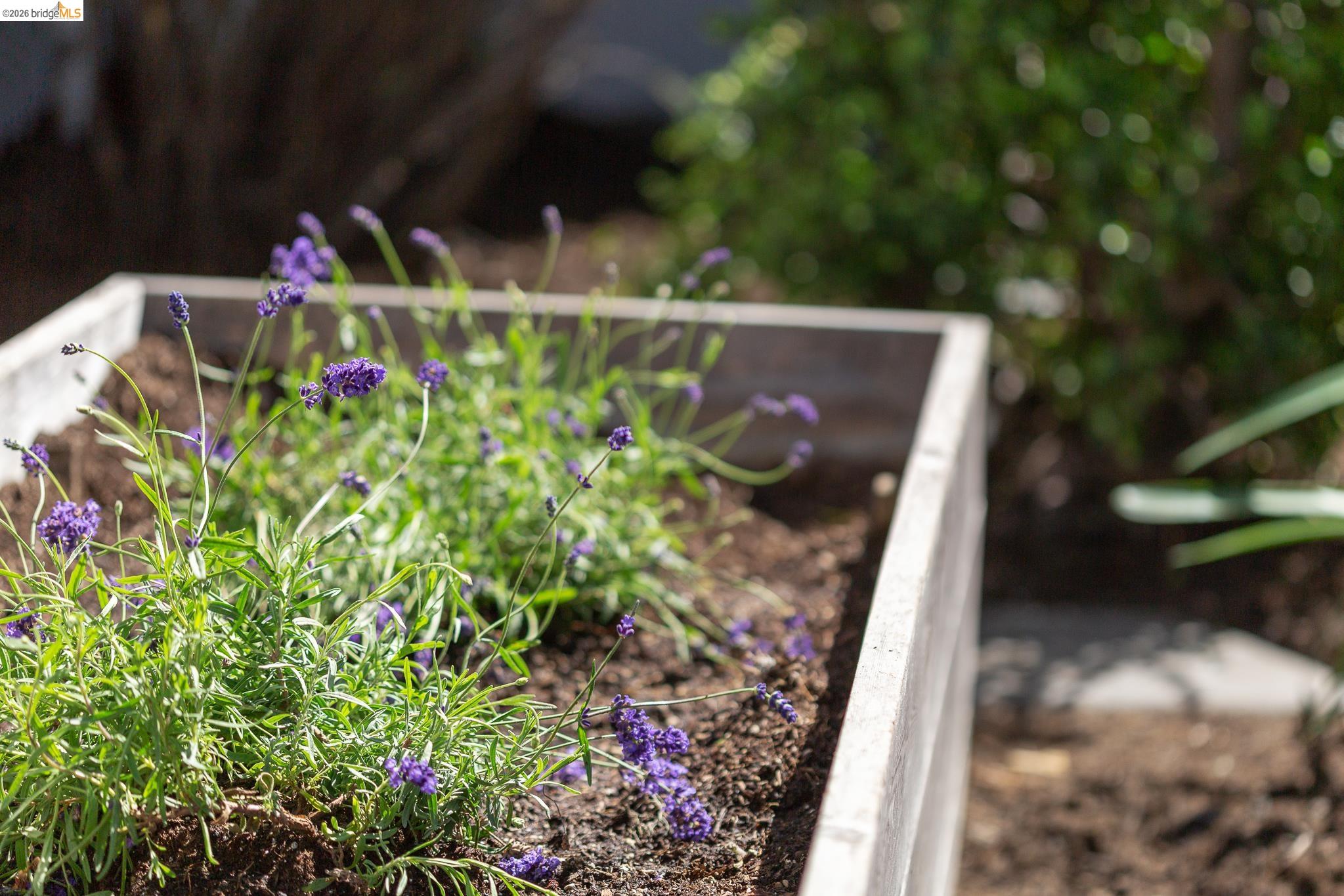 Detail Gallery Image 36 of 39 For 1200 El Centro Ave, Oakland,  CA 94602 - 2 Beds | 2 Baths