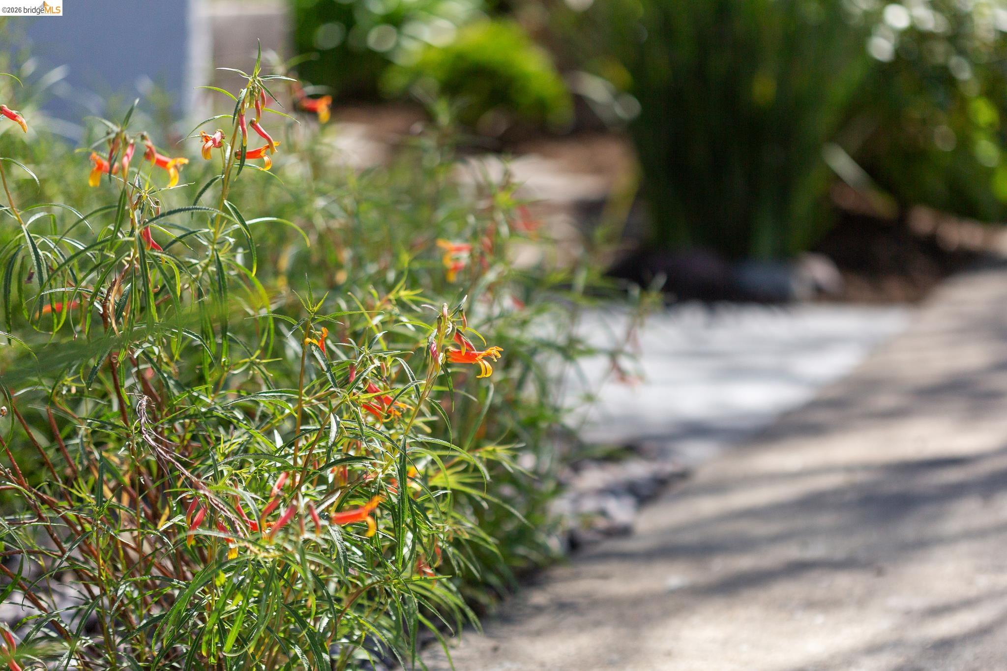 Detail Gallery Image 37 of 39 For 1200 El Centro Ave, Oakland,  CA 94602 - 2 Beds | 2 Baths