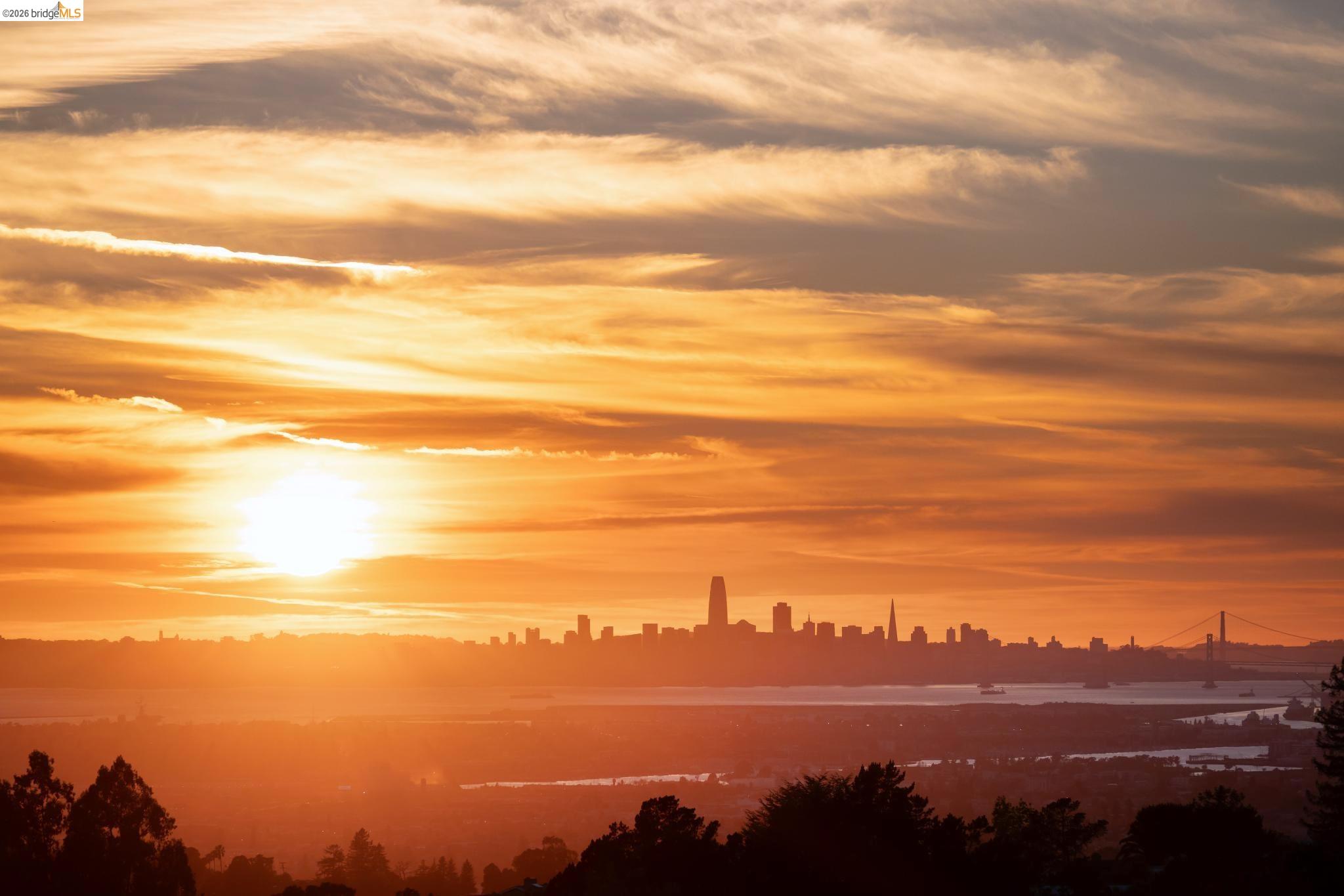 Photo #49: 41128827 Listing: Photo #49