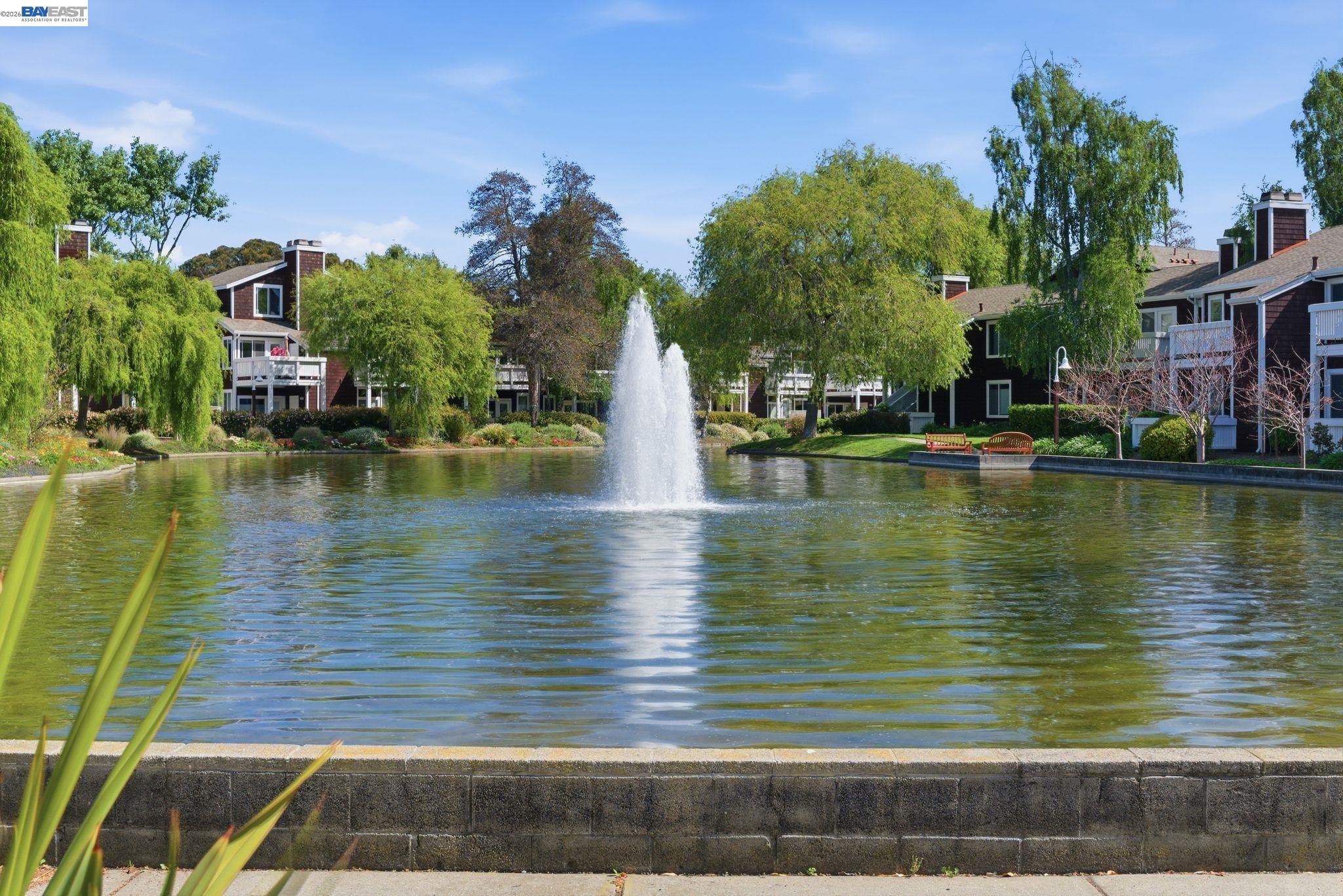 Photo #39: 41128830 Listing: Photo #39