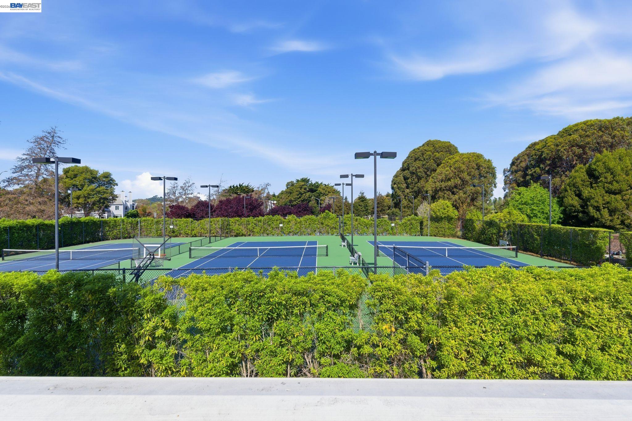 Photo #9: 41128830 Listing: Photo #9