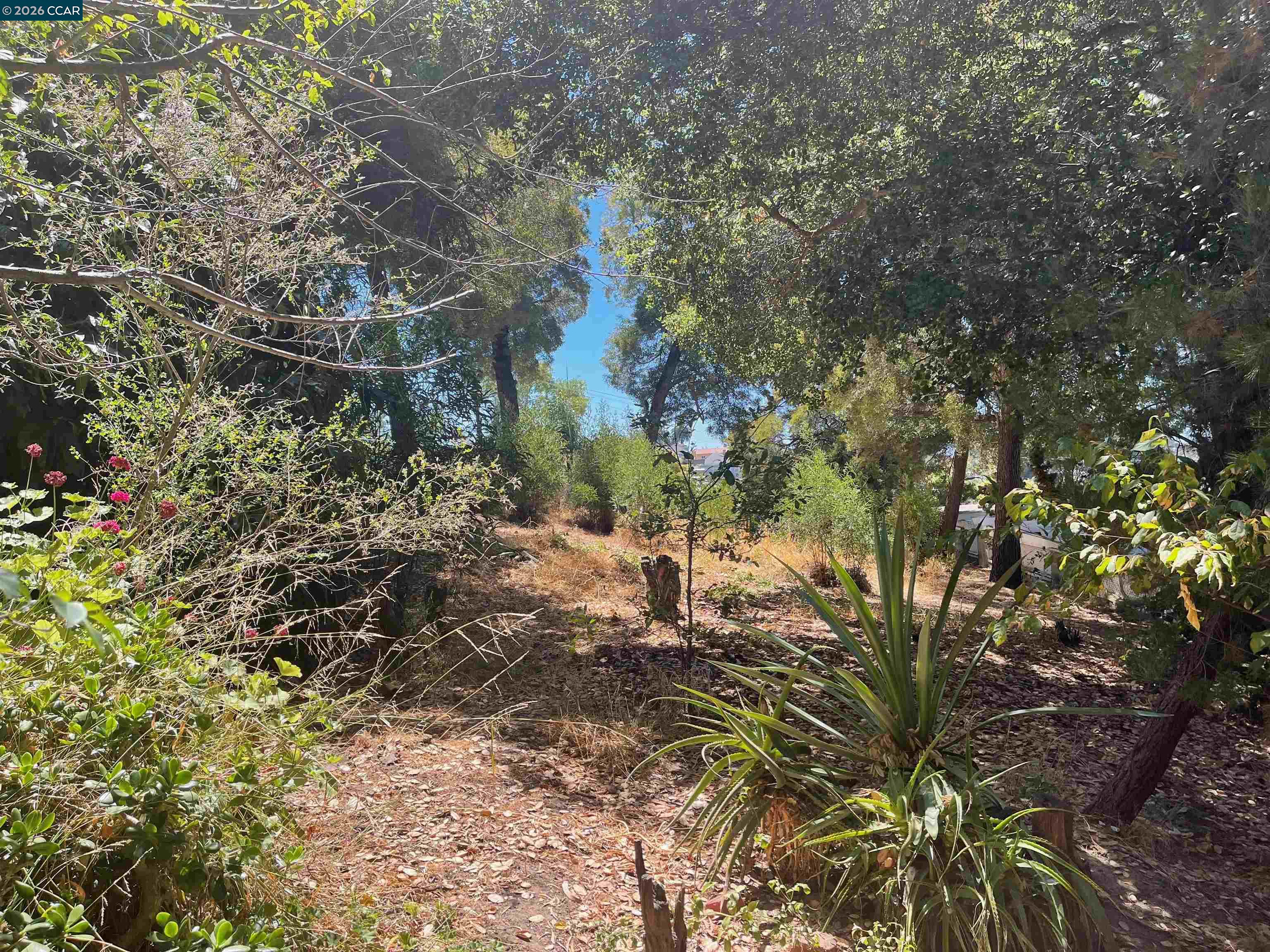 0000 Bartlett Way, Belmont, CA, 94002