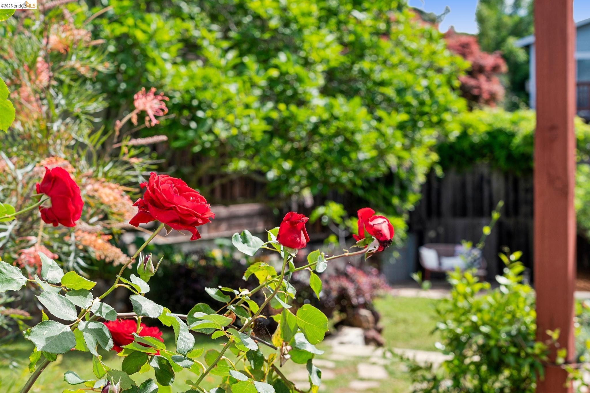 Detail Gallery Image 19 of 26 For 3824 Enos Ave, Oakland,  CA 94619 - 3 Beds | 2 Baths