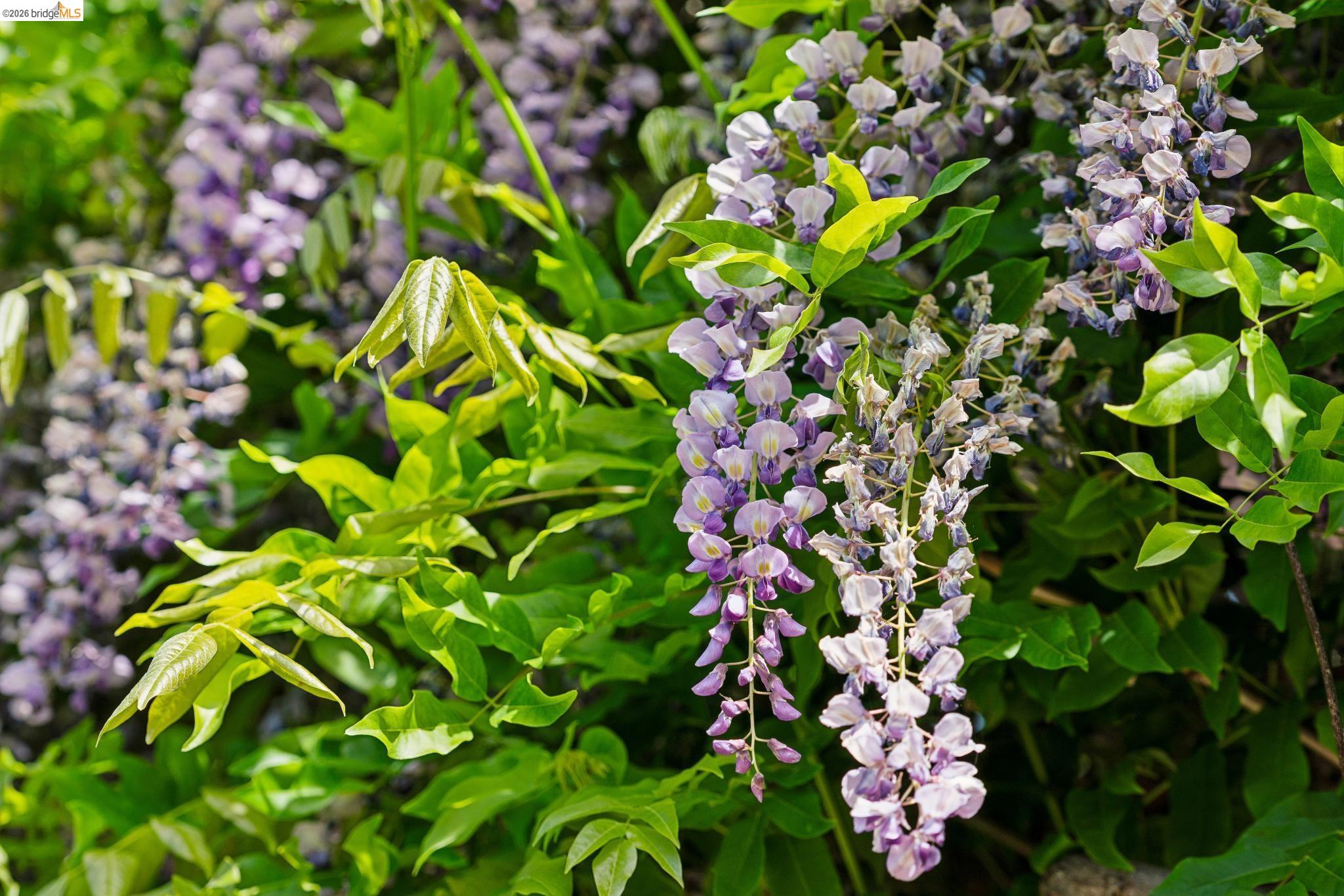 Detail Gallery Image 23 of 26 For 3824 Enos Ave, Oakland,  CA 94619 - 3 Beds | 2 Baths