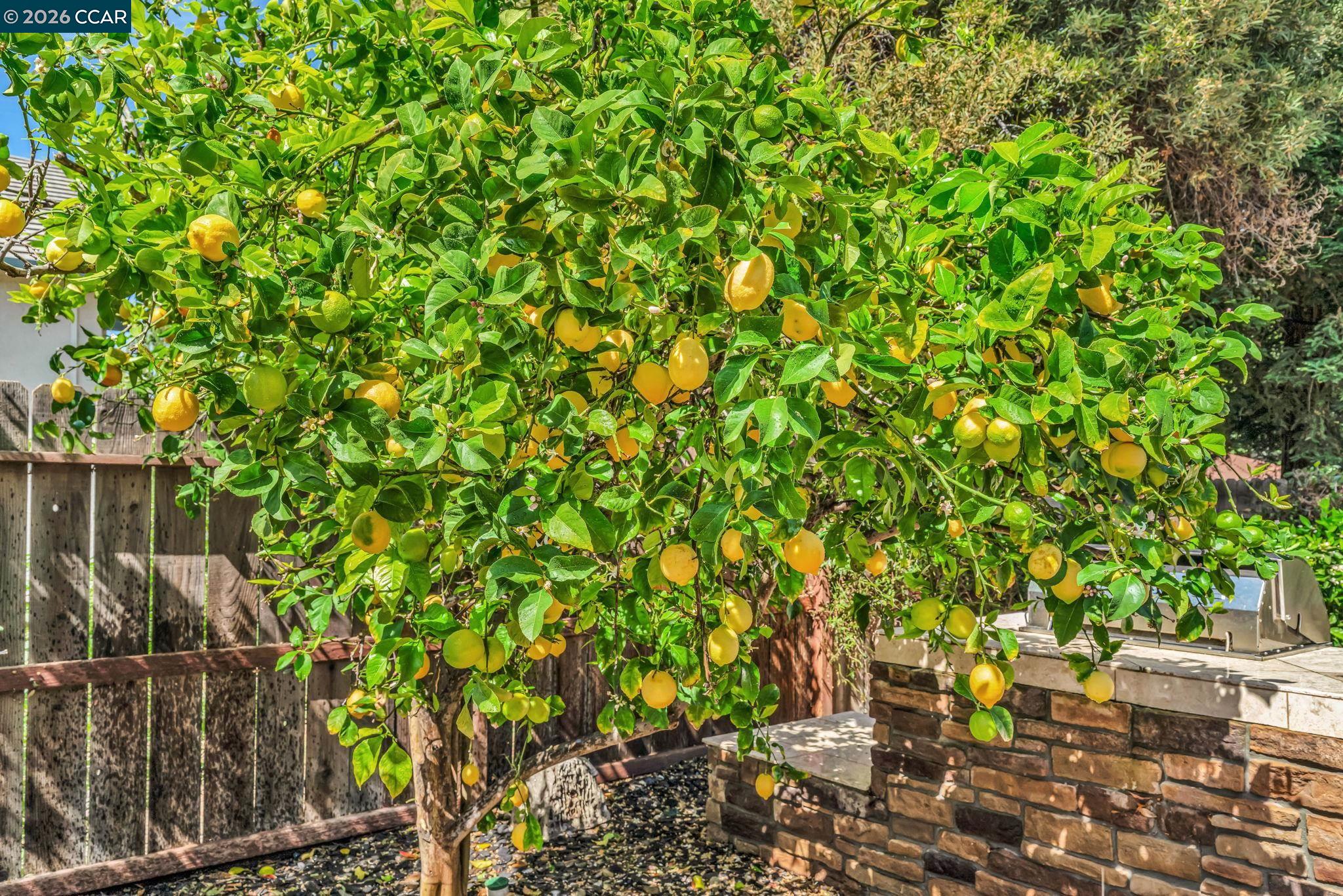 Detail Gallery Image 37 of 42 For 1174 Central Ave, Livermore,  CA 94551 - 5 Beds | 3 Baths