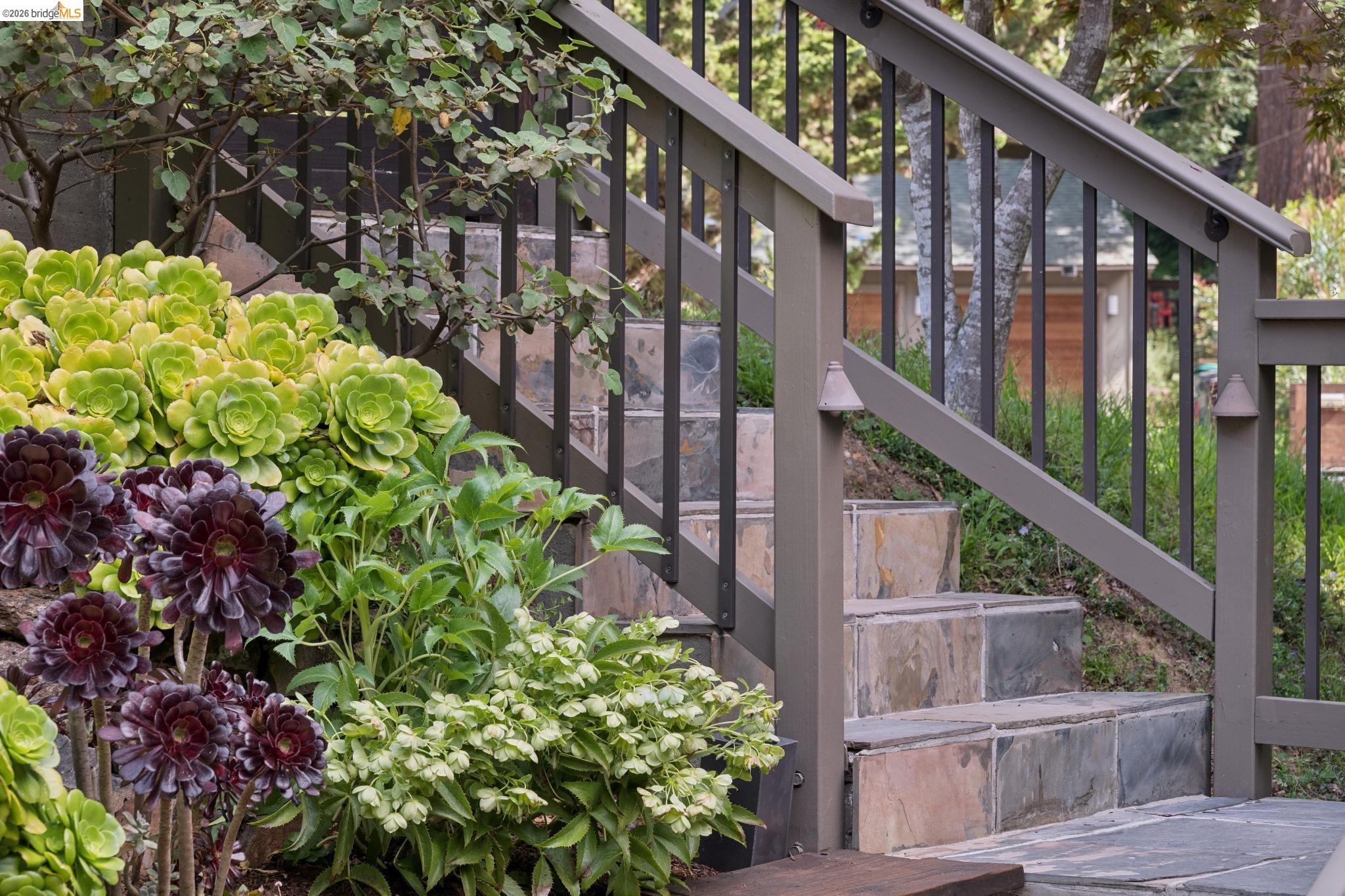 Detail Gallery Image 5 of 48 For 2929 Holyrood Drive, Oakland,  CA 94611 - 3 Beds | 2/1 Baths