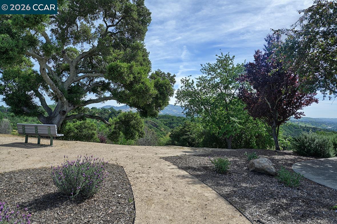 532 Spotted Owl Ct, Walnut Creek, CA, 94595