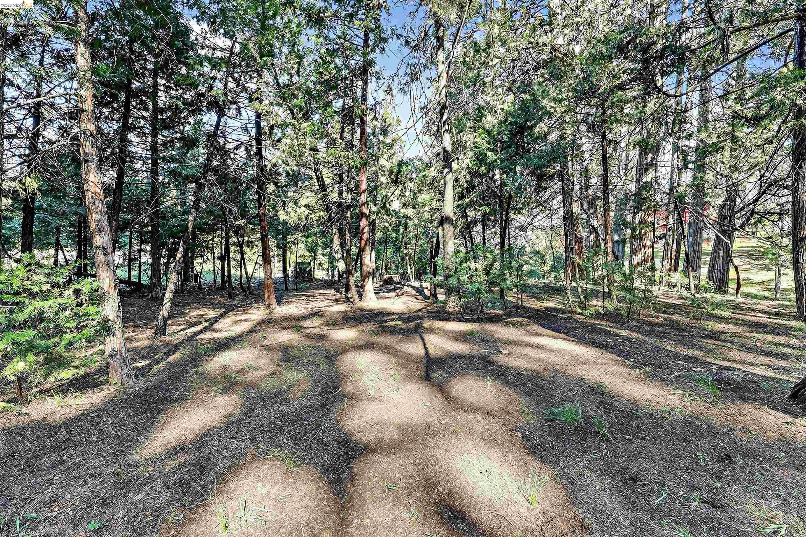 Detail Gallery Image 52 of 59 For 19388 Poplar, Twain Harte,  CA 95383 - 3 Beds | 2 Baths