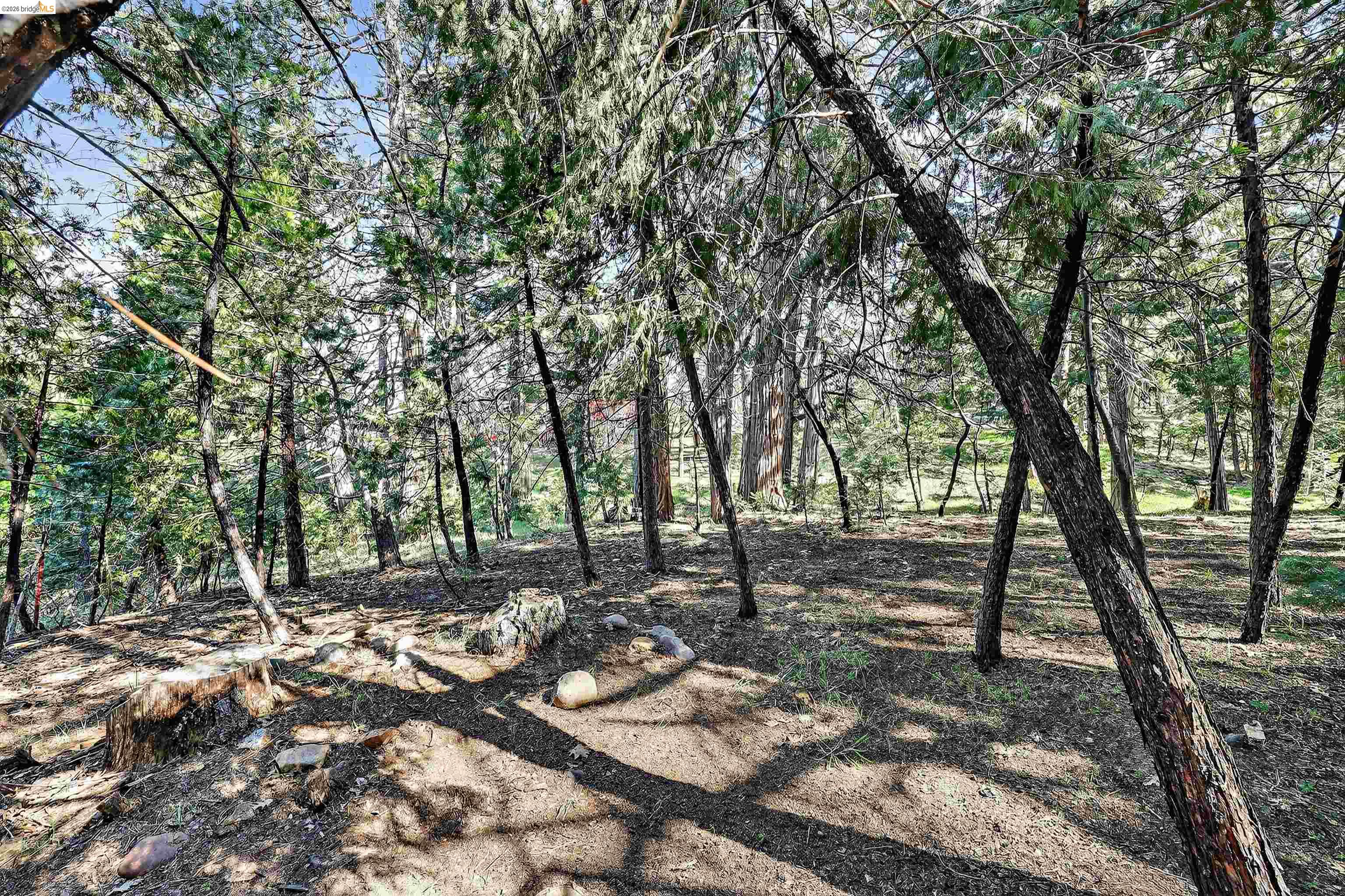 Detail Gallery Image 53 of 59 For 19388 Poplar, Twain Harte,  CA 95383 - 3 Beds | 2 Baths