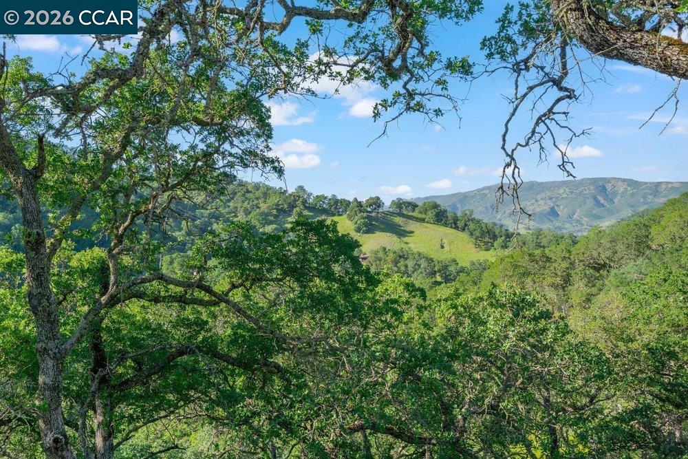 Detail Gallery Image 14 of 54 For 98 Oak Springs Dr, Napa,  CA 94558 - 4 Beds | 3 Baths