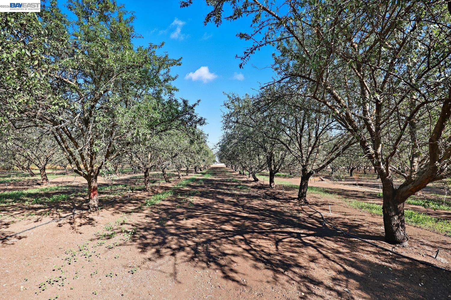 Detail Gallery Image 26 of 37 For 10638 Toews Ave, –,  CA 95333 - 4 Beds | 2/1 Baths