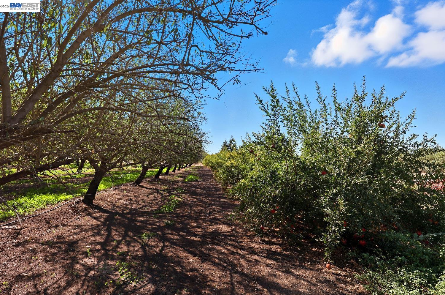 Detail Gallery Image 27 of 37 For 10638 Toews Ave, –,  CA 95333 - 4 Beds | 2/1 Baths