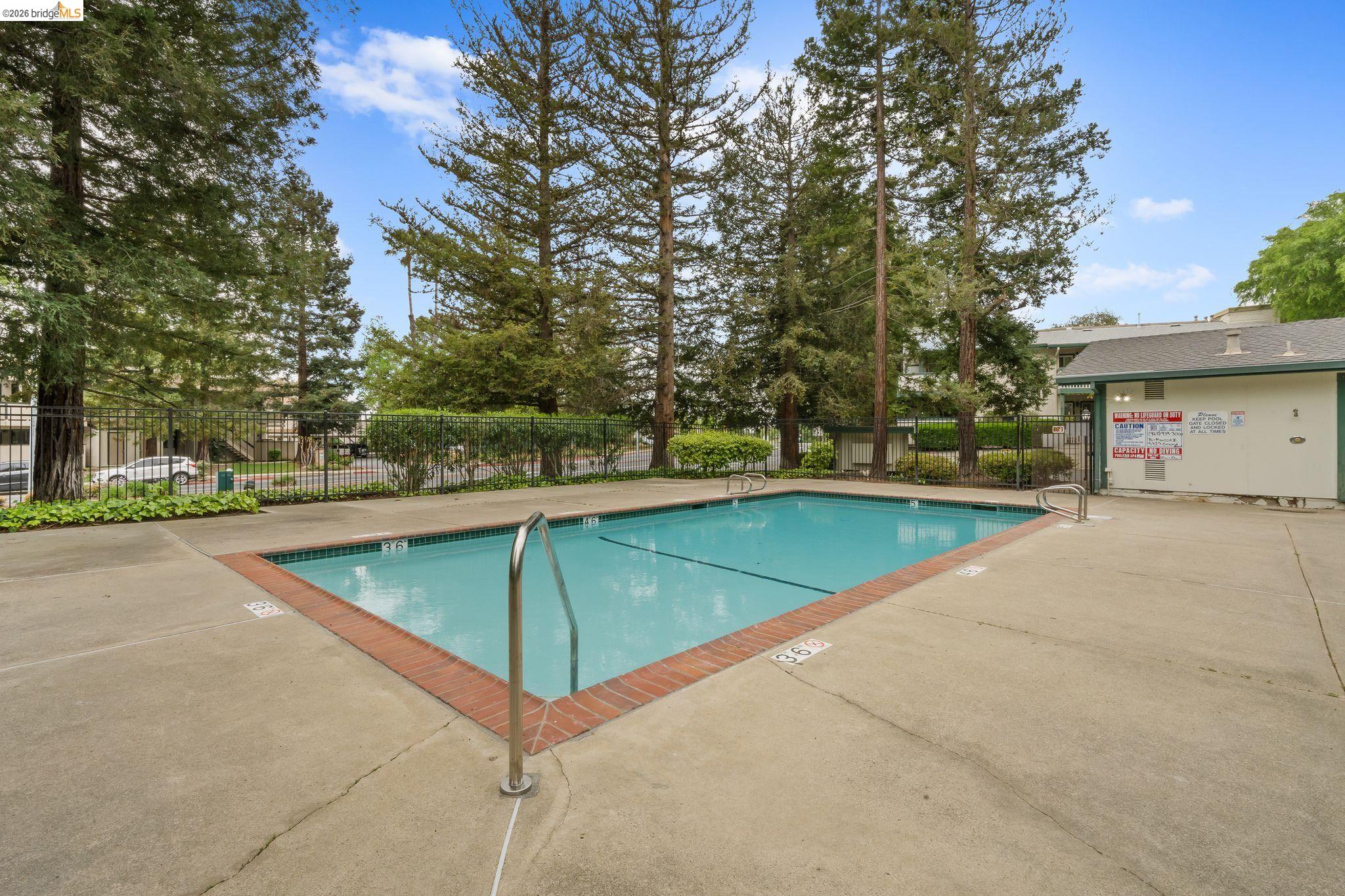 Photo #36: 41128946 Listing: Photo #36