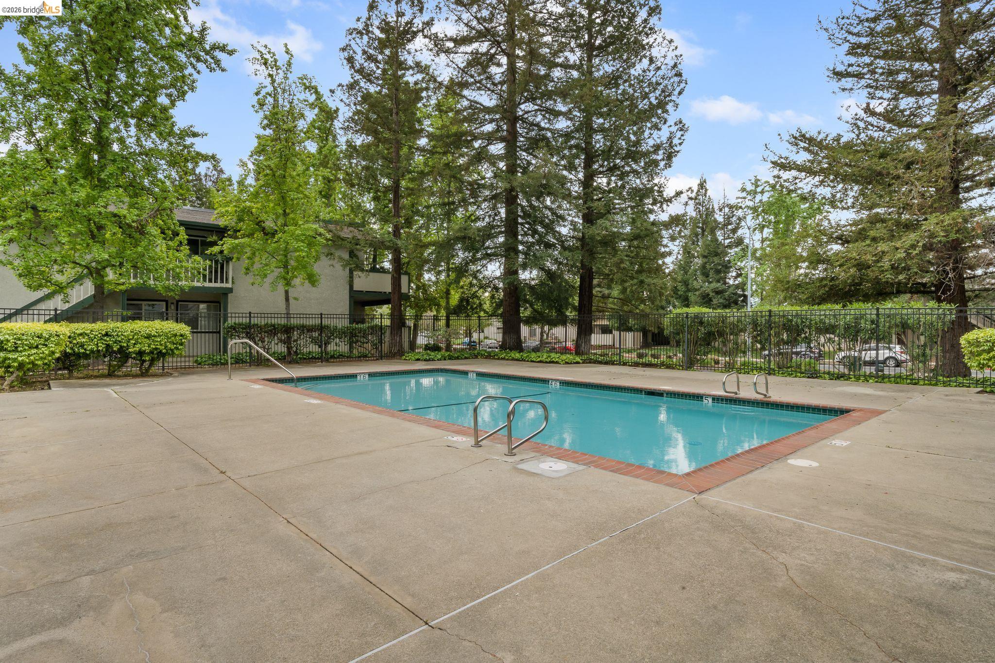 Photo #37: 41128946 Listing: Photo #37