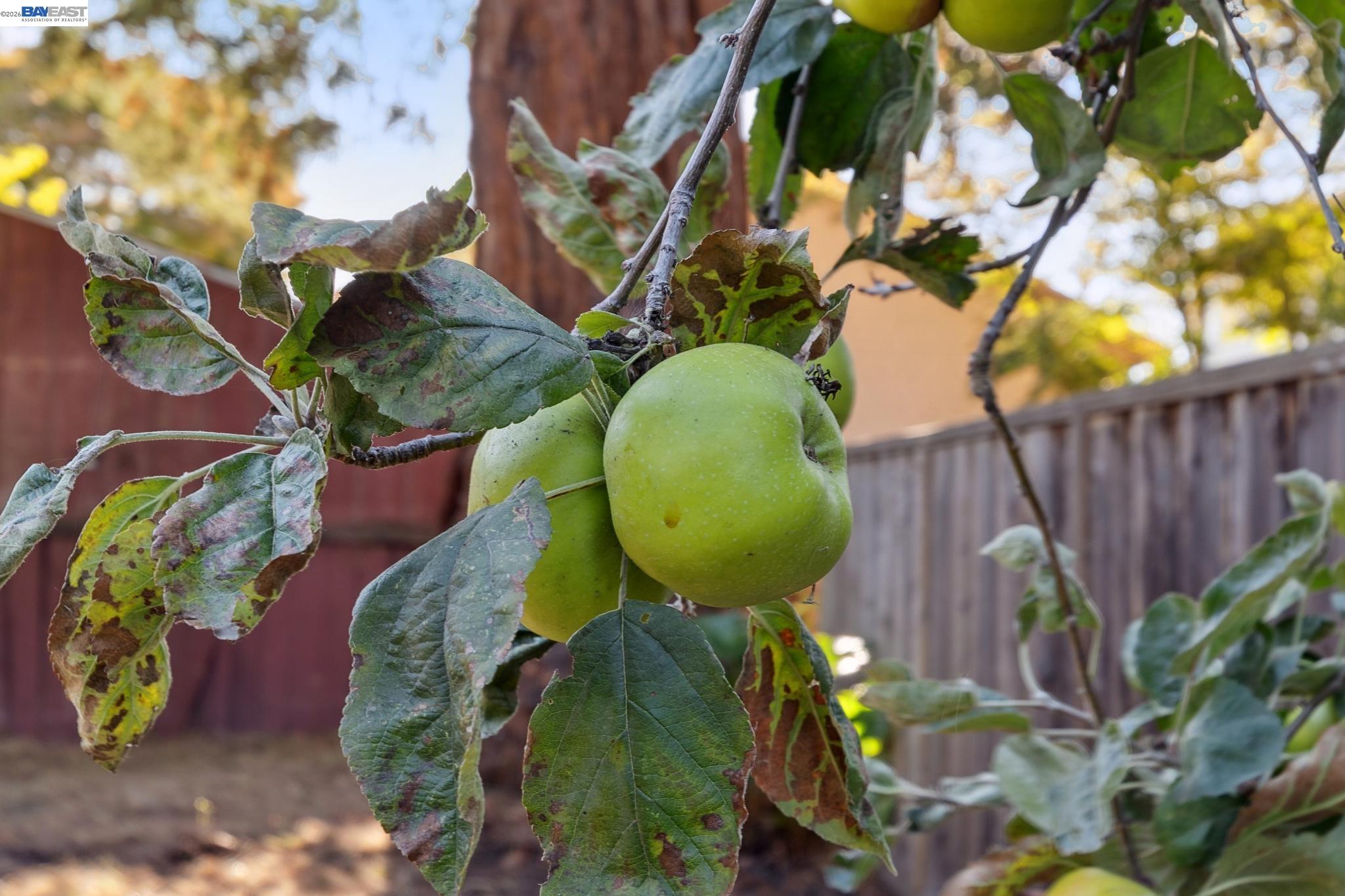 Detail Gallery Image 46 of 57 For 3246 Garfield Ave, Alameda,  CA 94501 - 3 Beds | 2 Baths