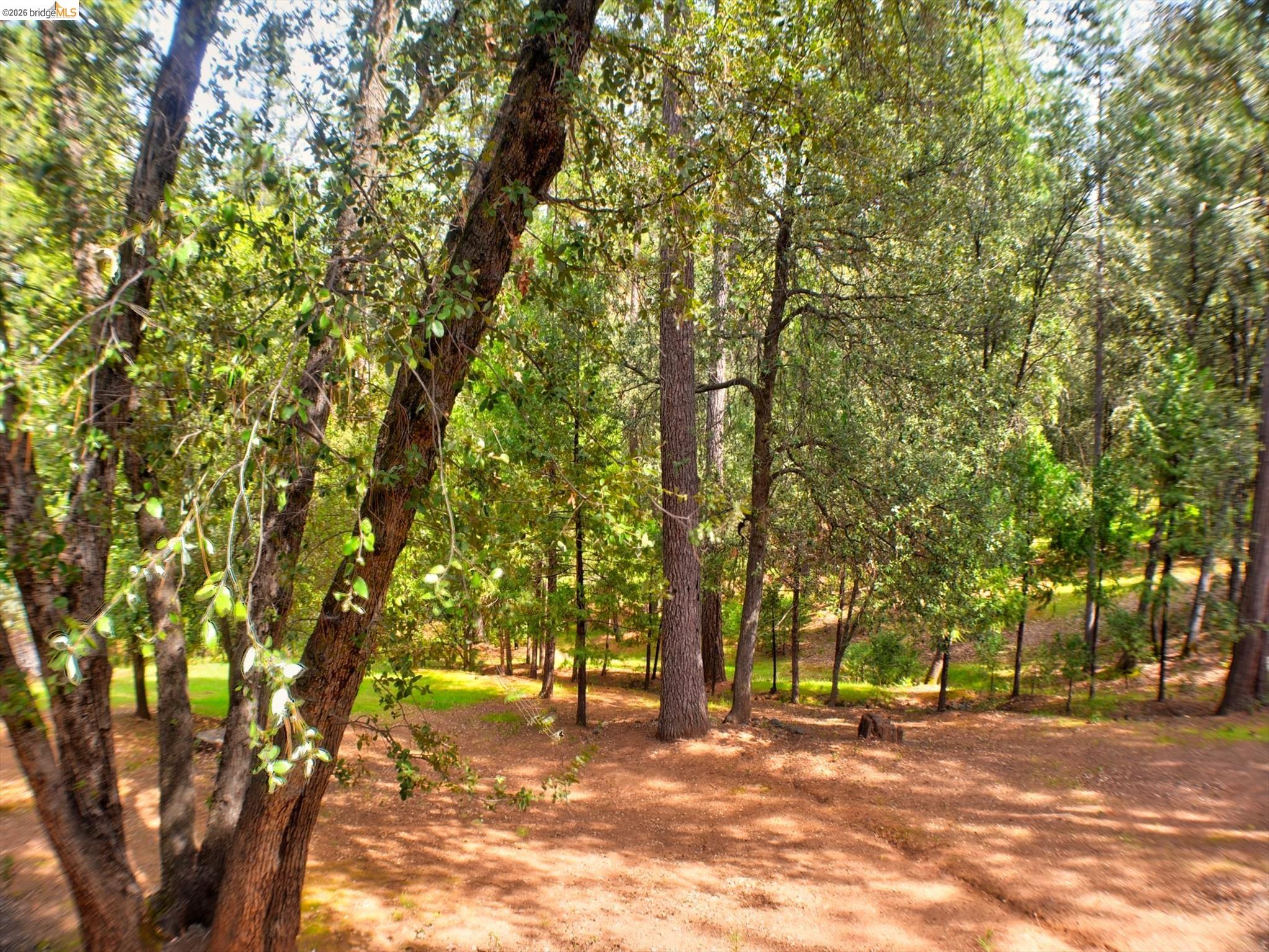 Detail Gallery Image 48 of 58 For 12293 Tower Peak Ct, Groveland,  CA 95321 - 3 Beds | 3 Baths