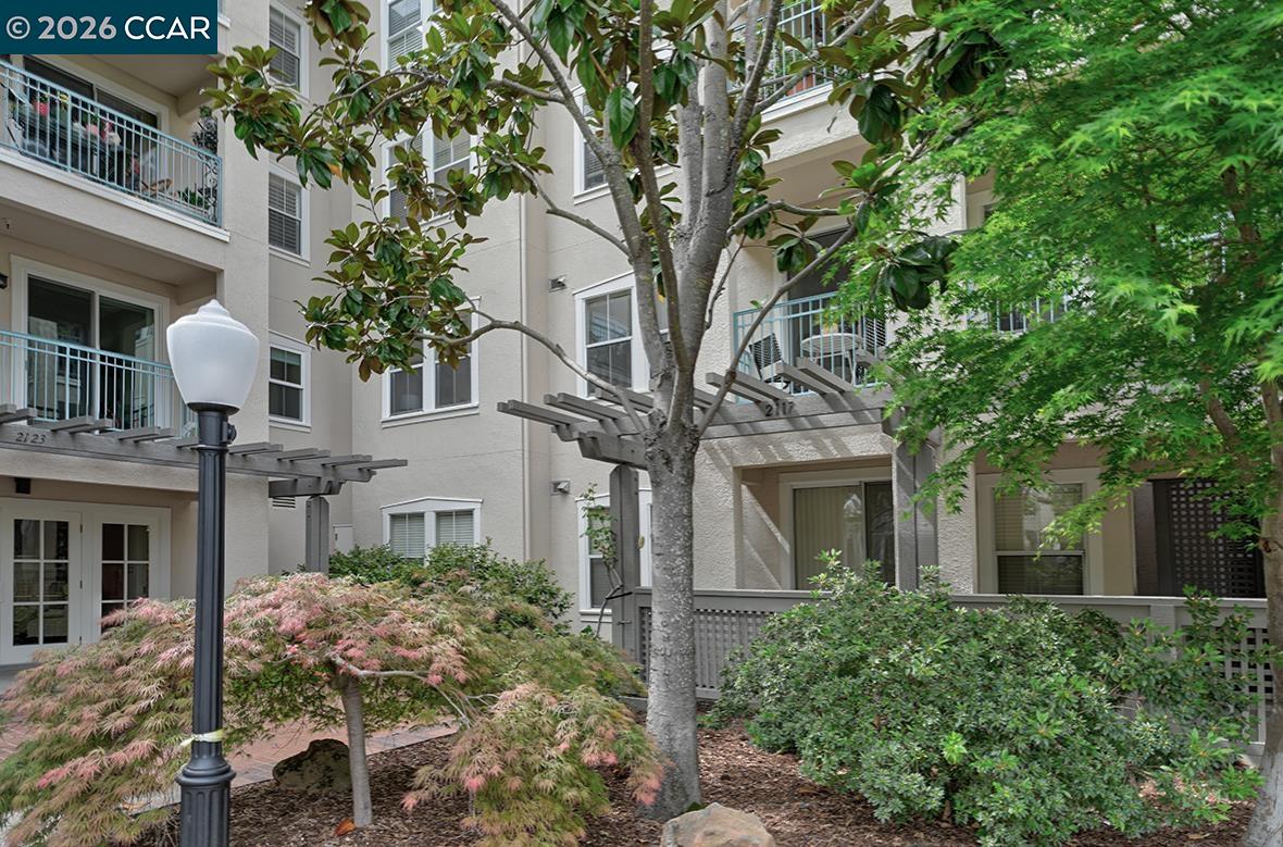 Photo #39: 41128966 Listing: Photo #39