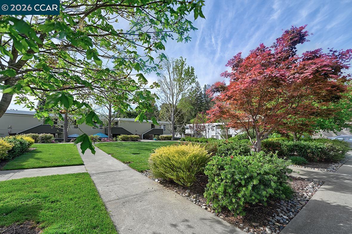 Photo #40: 41128977 Listing: Photo #40