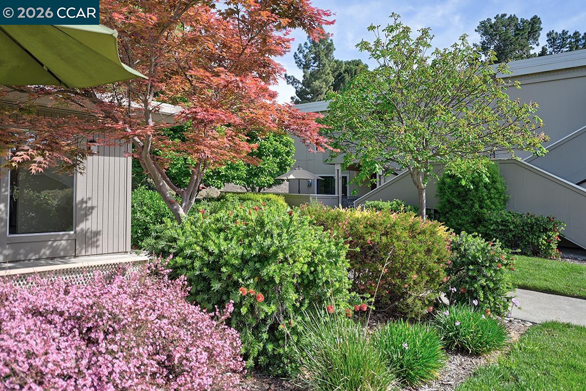 Photo #41: 41128977 Listing: Photo #41