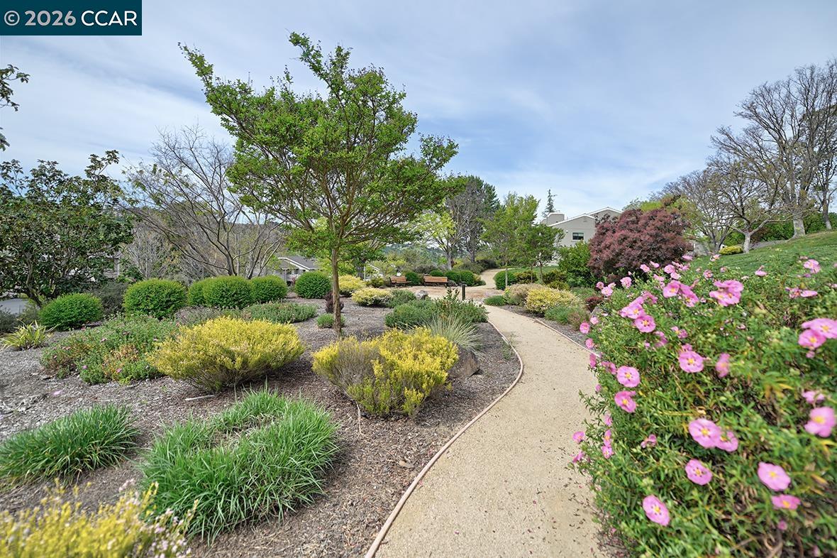 Photo #51: 41128978 Listing: Photo #51