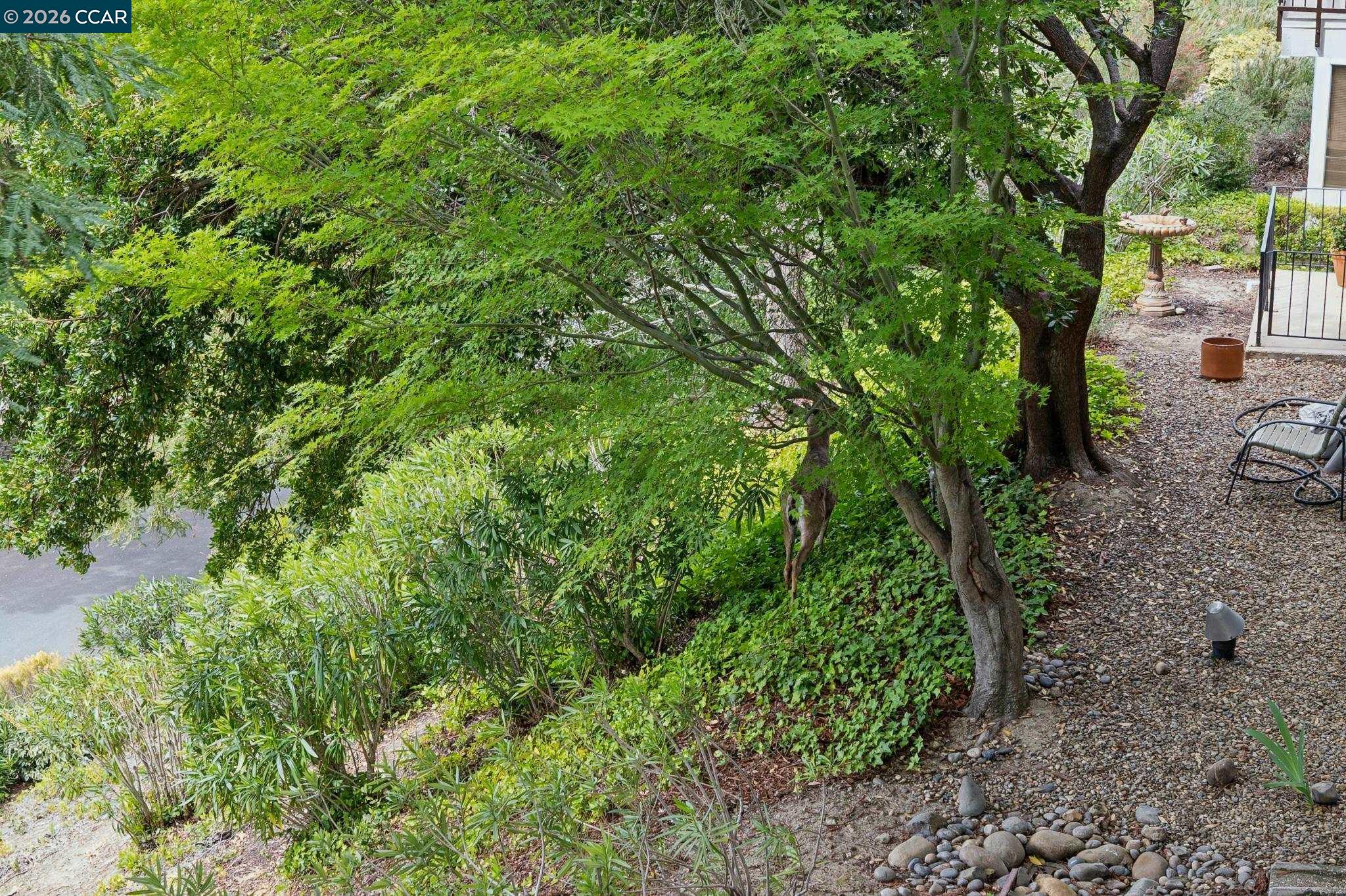 Photo #19: 41128997 Listing: Photo #19