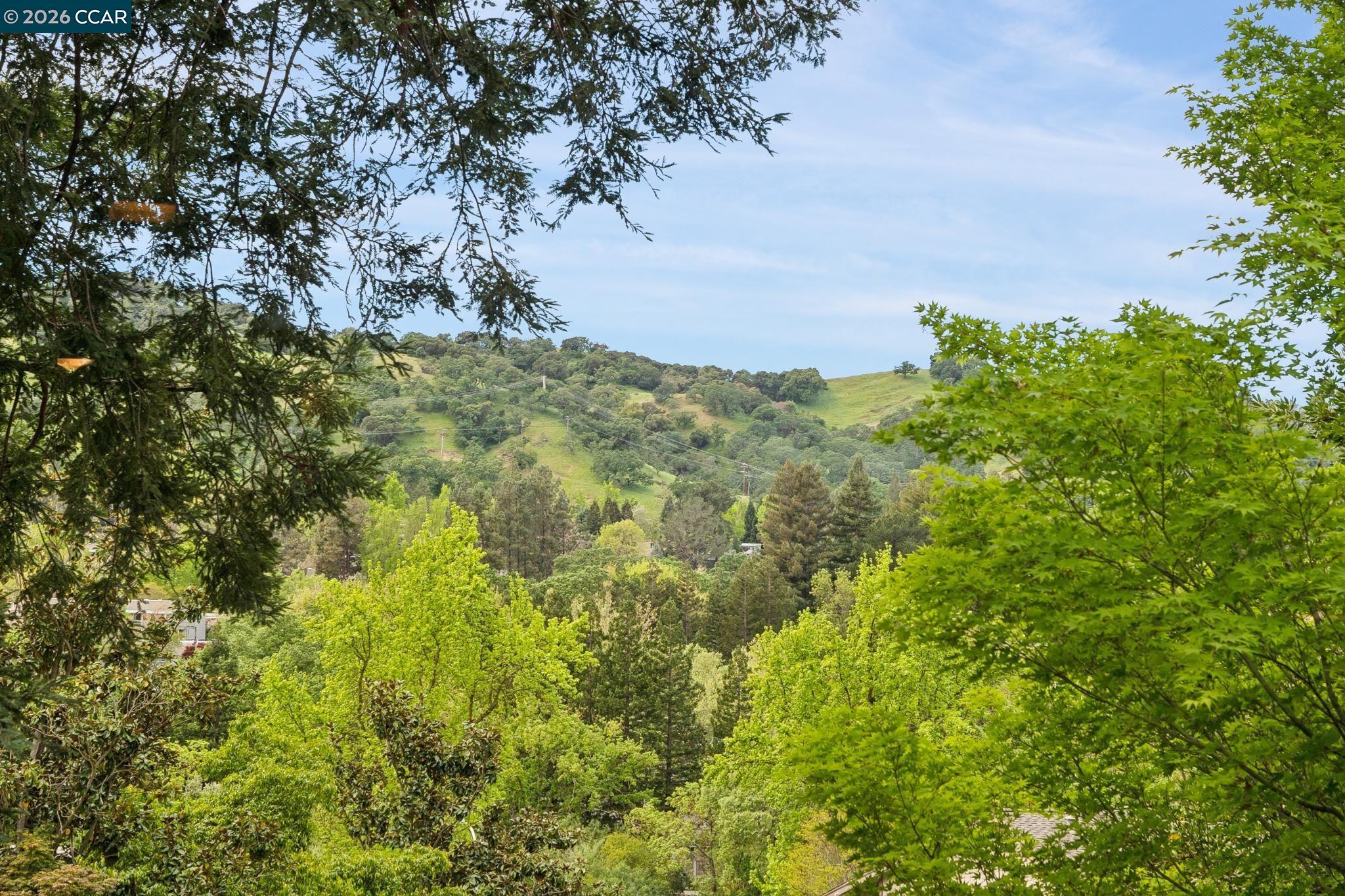 Photo #20: 41128997 Listing: Photo #20