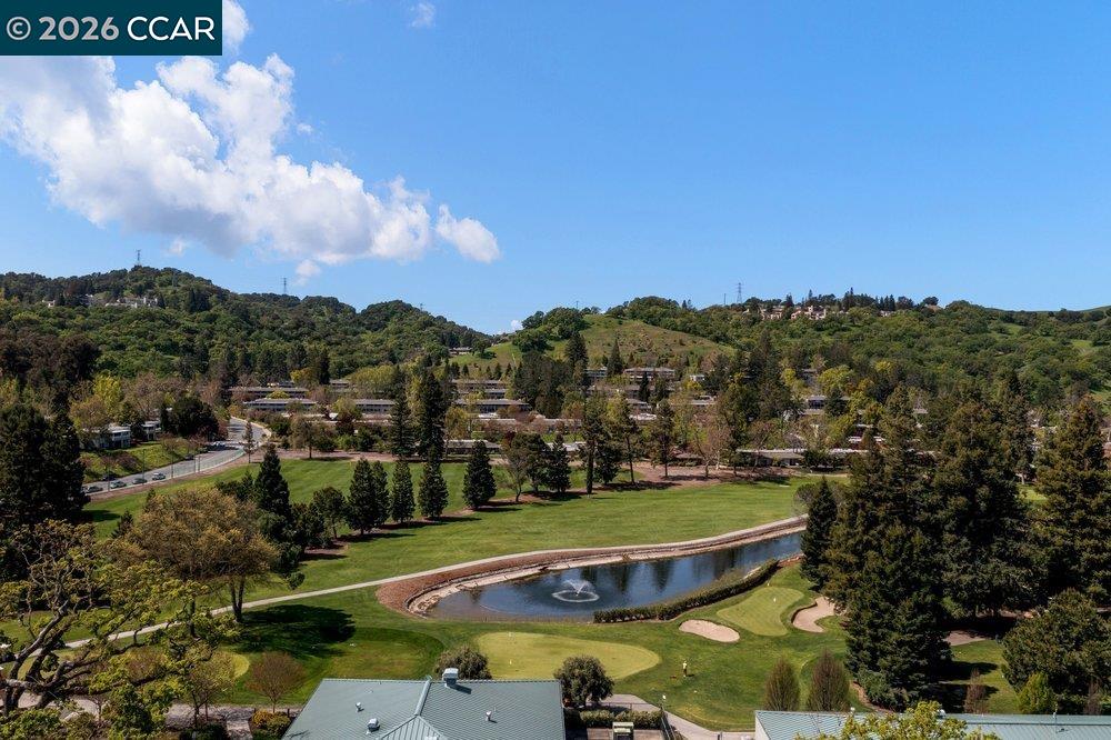 Photo #39: 41129003 Listing: Photo #39