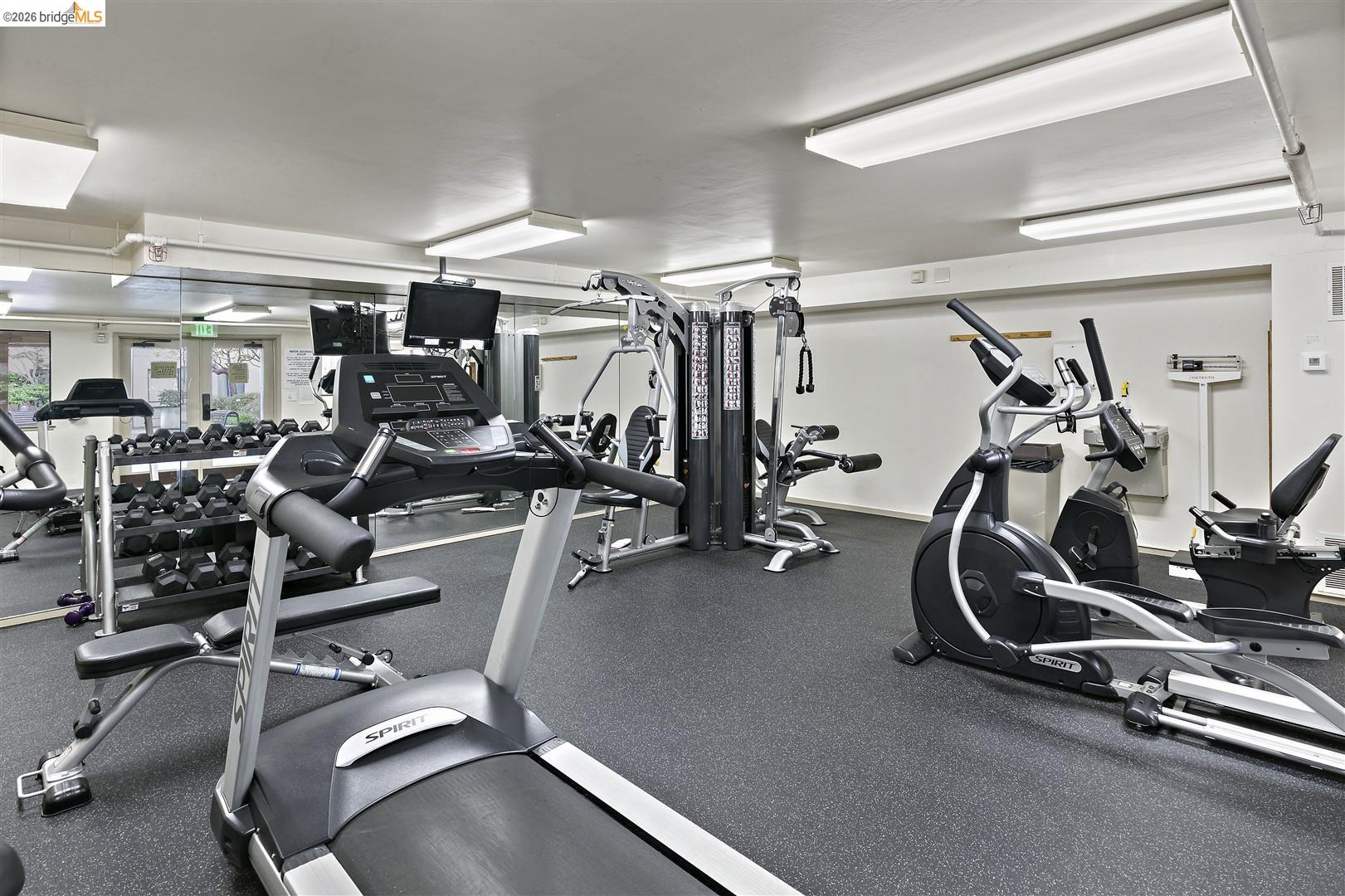 Photo #26: 41129025 Listing: Photo #26