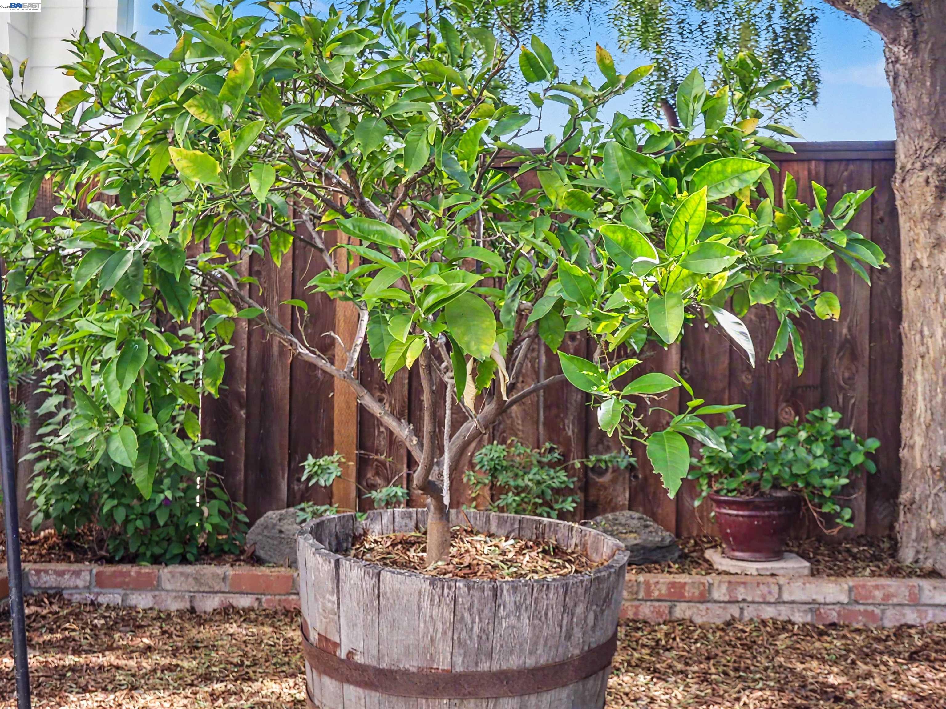 Detail Gallery Image 37 of 48 For 6162 Linford Ter, Fremont,  CA 94555 - 2 Beds | 2/1 Baths