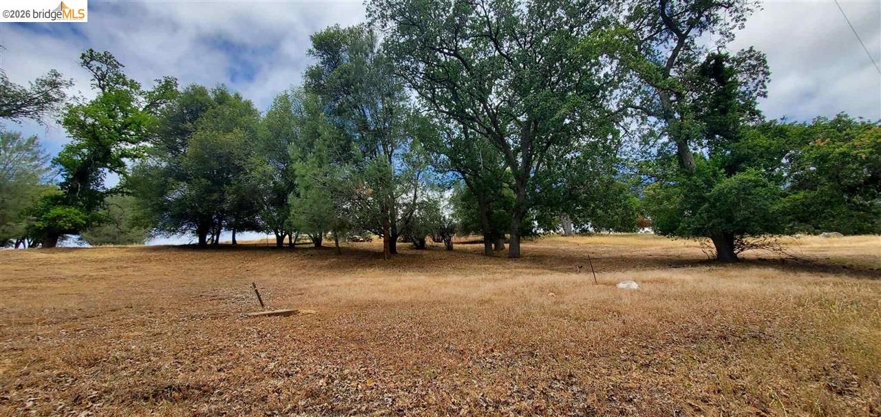 Detail Gallery Image 2 of 36 For 6-234 Ferretti, Groveland,  CA 95321 - – Beds | – Baths