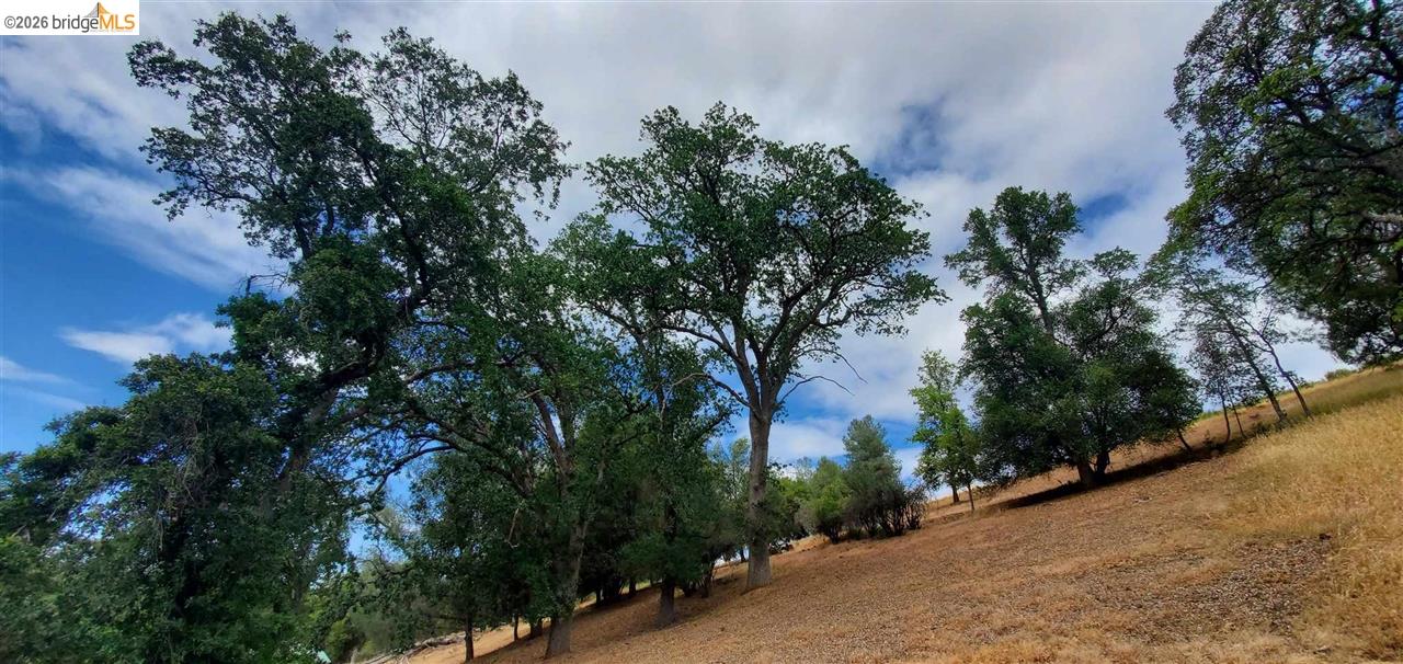 Detail Gallery Image 11 of 36 For 6-234 Ferretti, Groveland,  CA 95321 - – Beds | – Baths