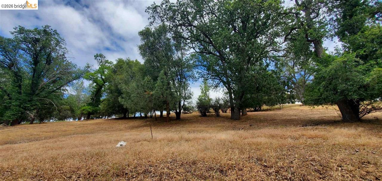 Detail Gallery Image 3 of 36 For 6-234 Ferretti, Groveland,  CA 95321 - – Beds | – Baths