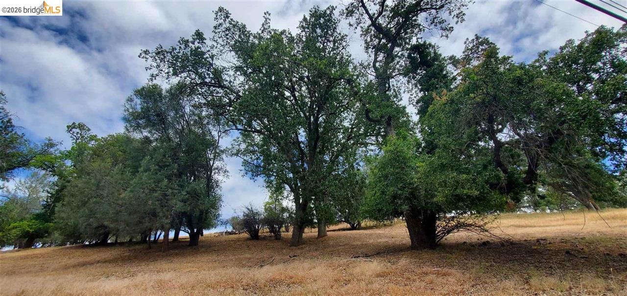 Detail Gallery Image 4 of 36 For 6-234 Ferretti, Groveland,  CA 95321 - – Beds | – Baths