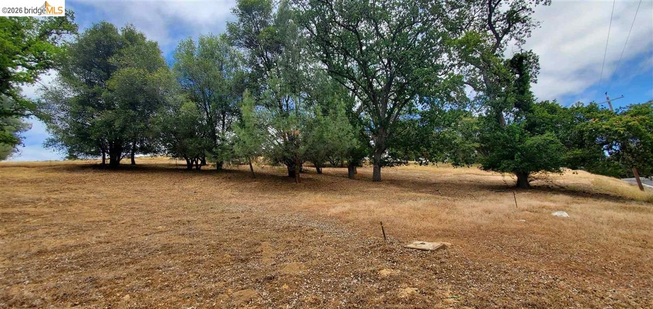 Detail Gallery Image 6 of 36 For 6-234 Ferretti, Groveland,  CA 95321 - – Beds | – Baths